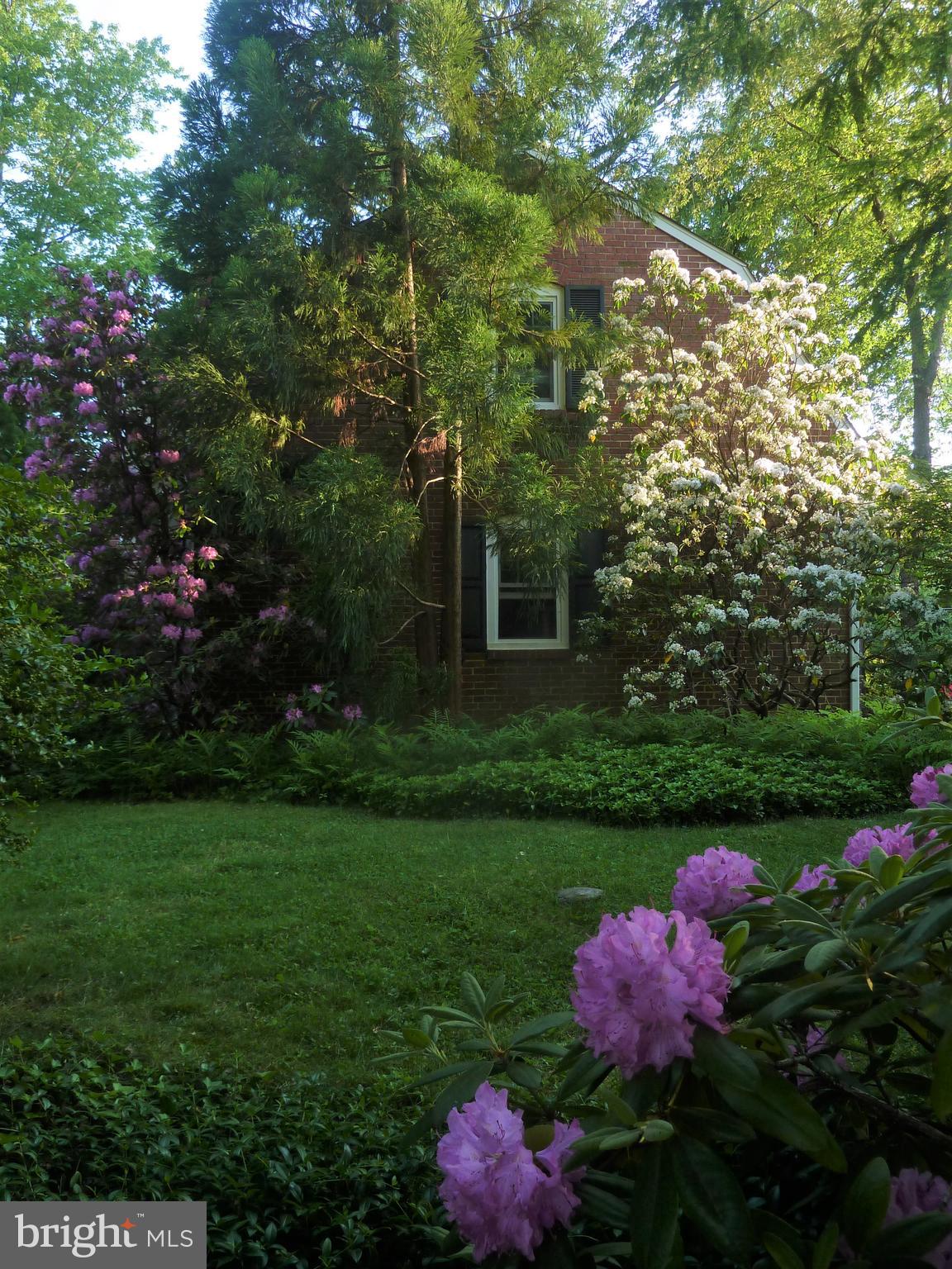 SHORTRIDGE - Residential