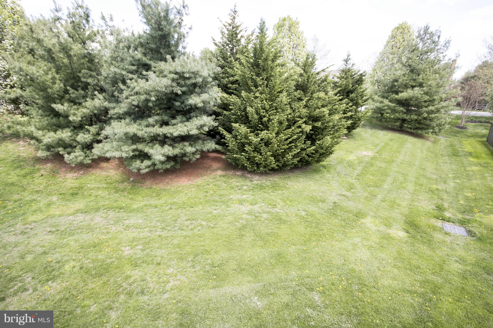 SPENCEOLA FARMS - Residential