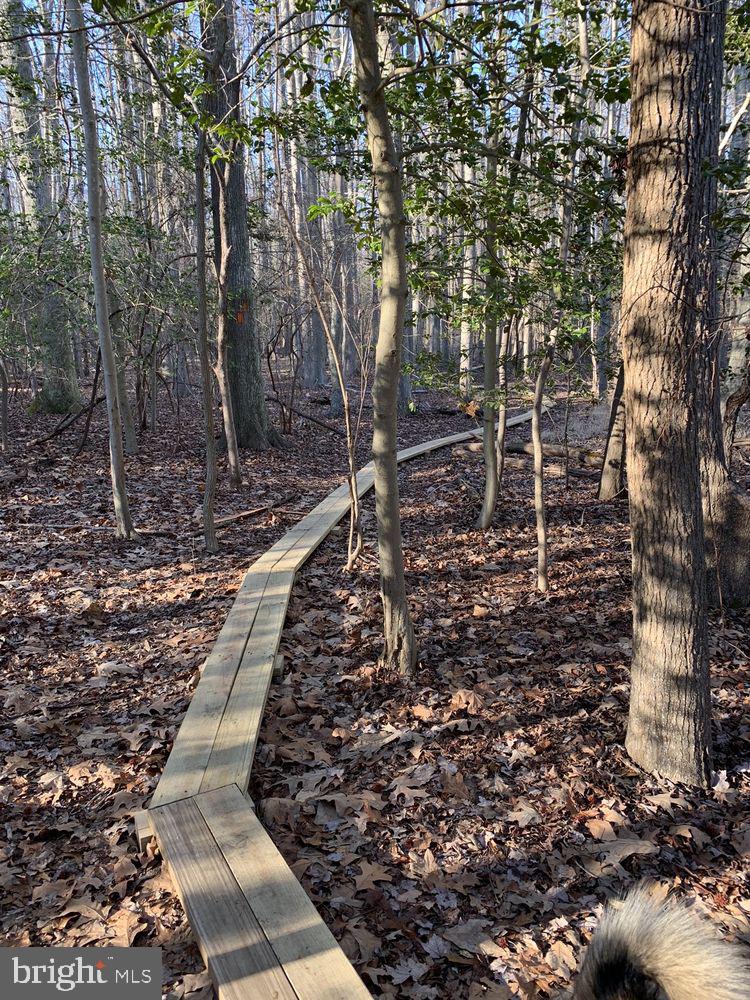 TRITON WOODS - Residential