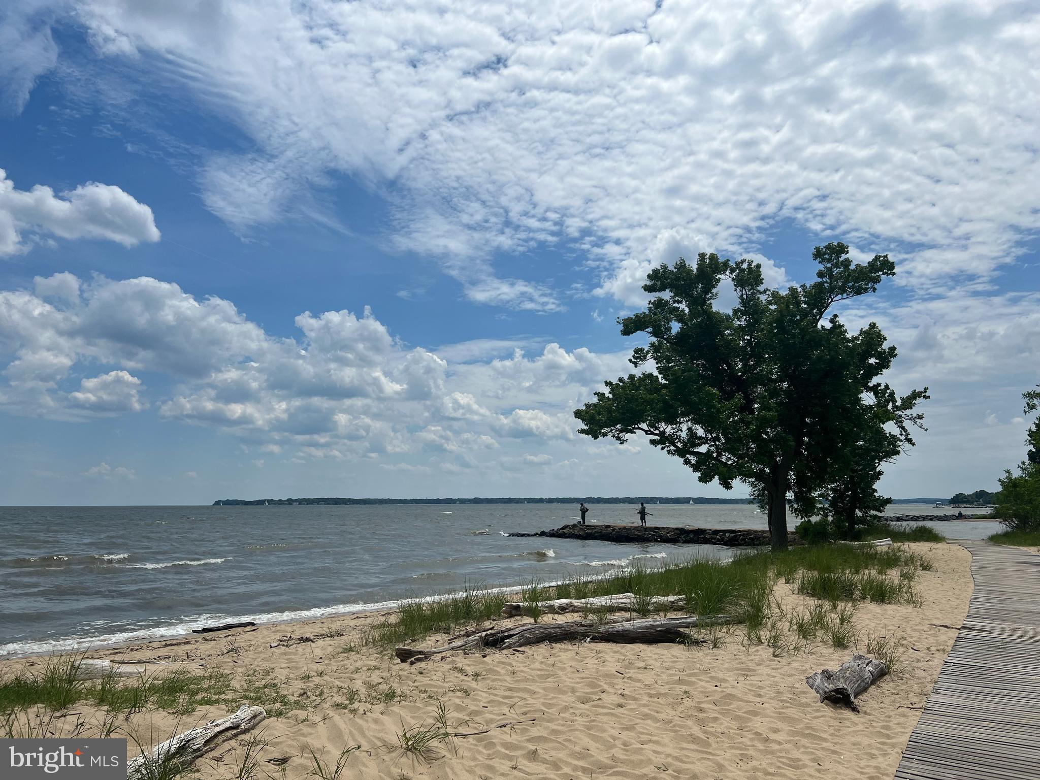 TRITON WOODS - Residential