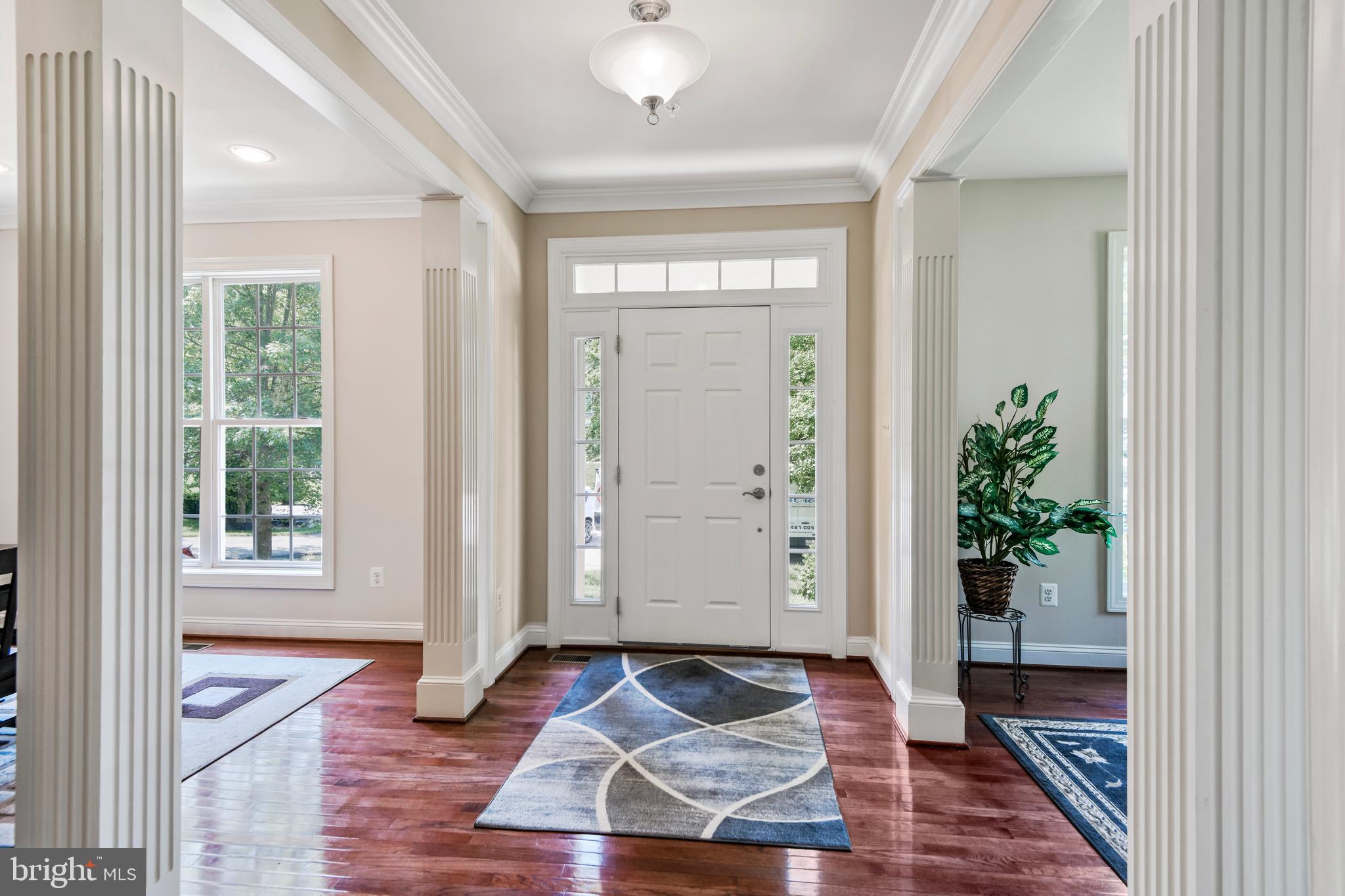 TRITON WOODS - Residential