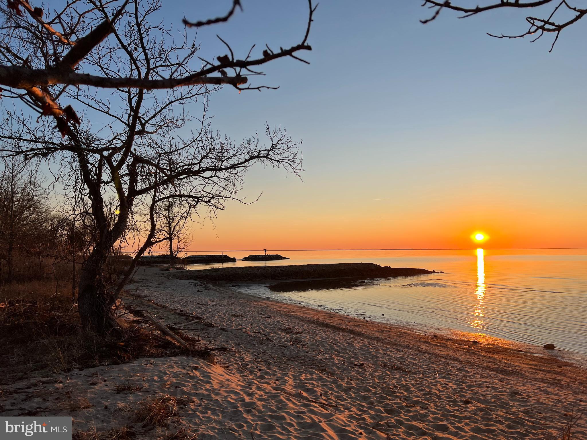 TRITON WOODS - Residential