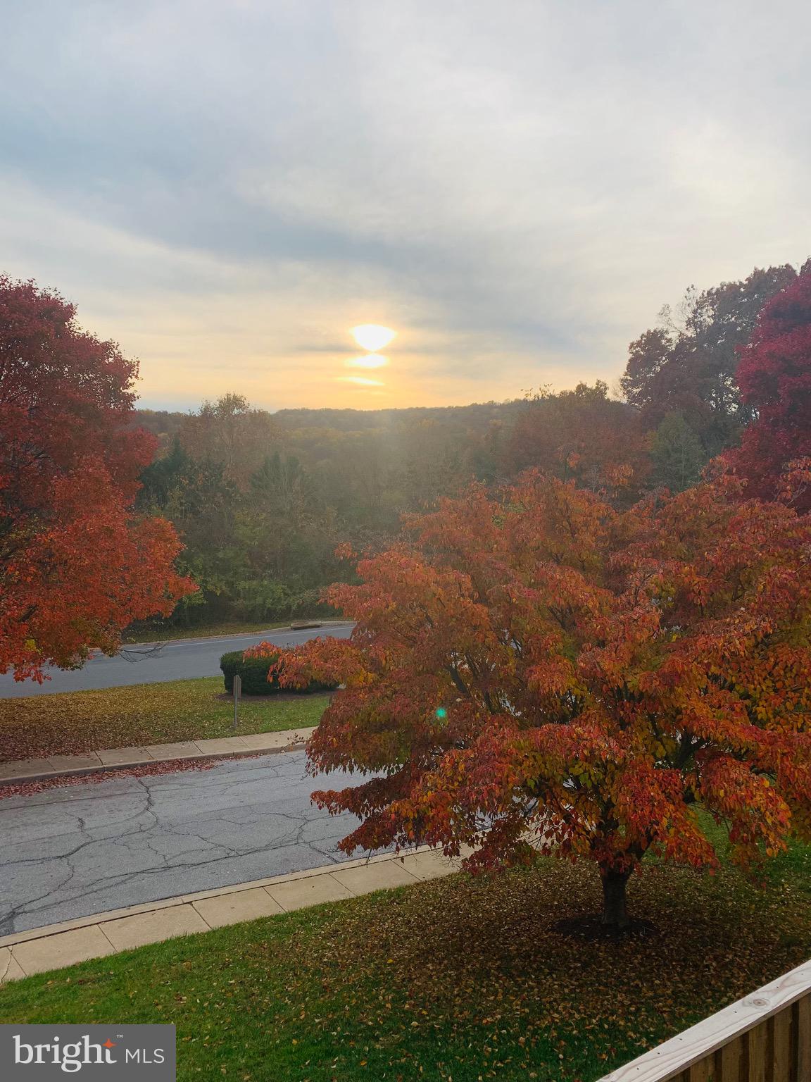 NORTH SHORE - Residential