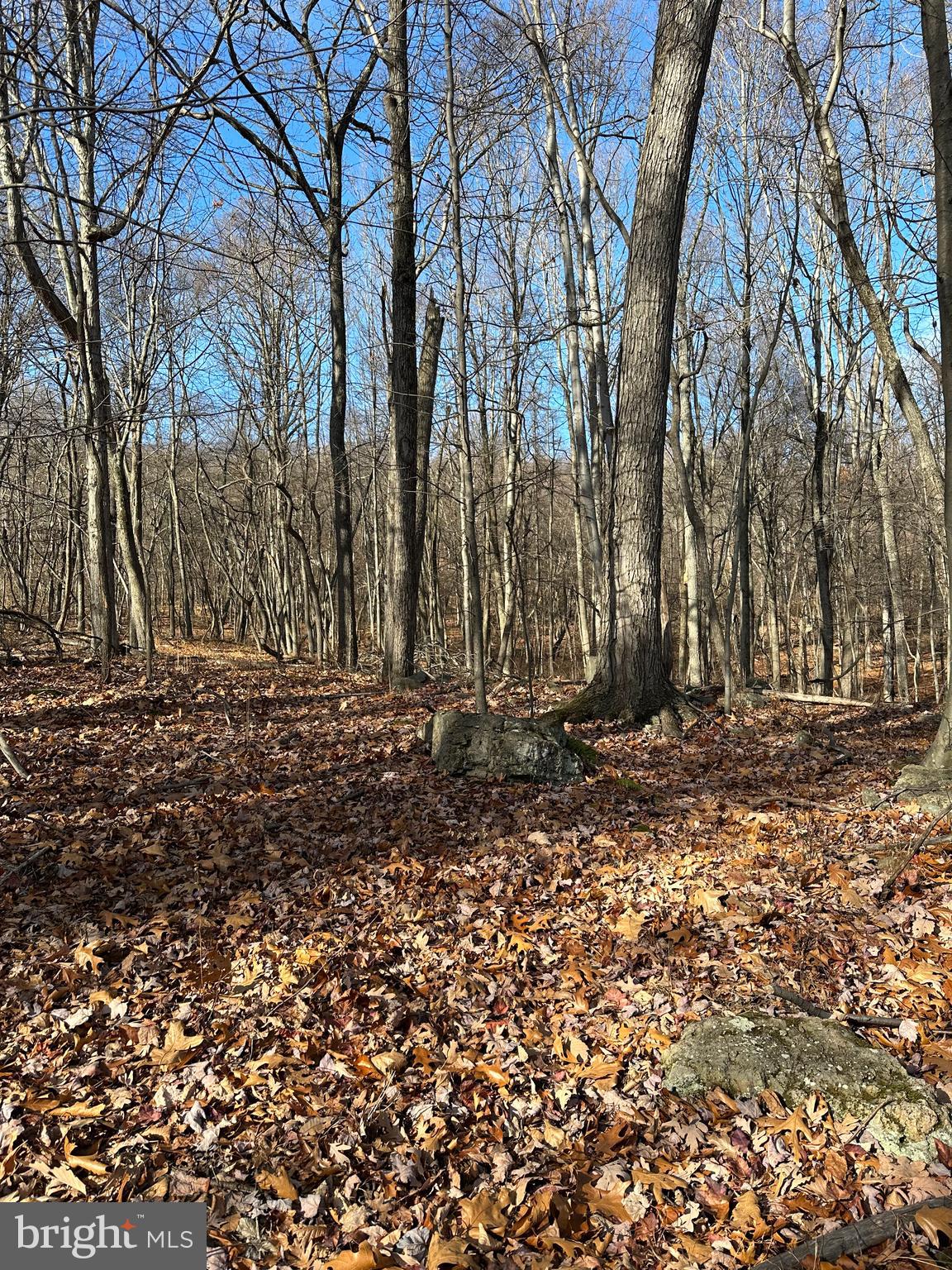 APPLE FIELDS OF HEAVEN - Land