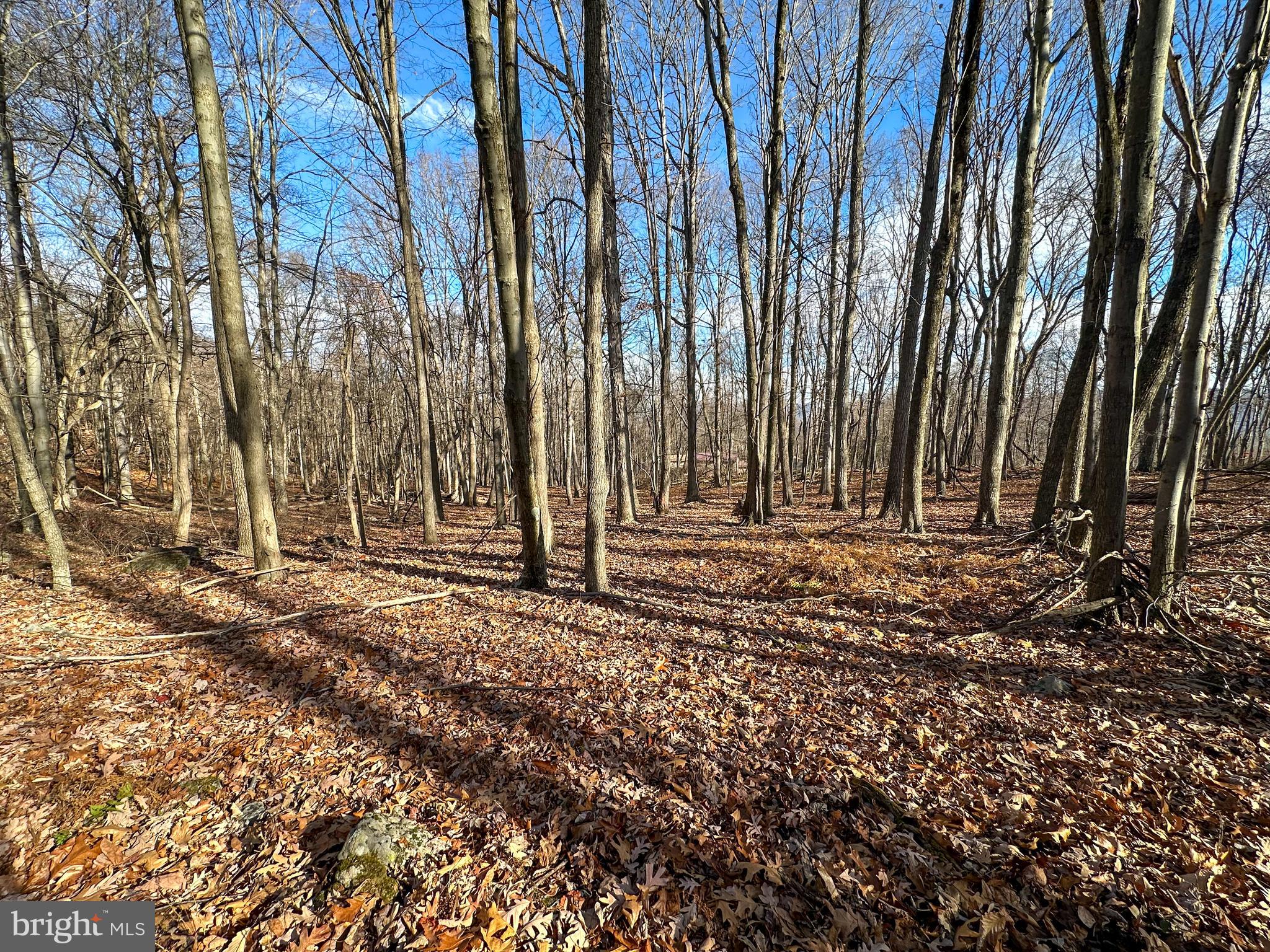 APPLE FIELDS OF HEAVEN - Land