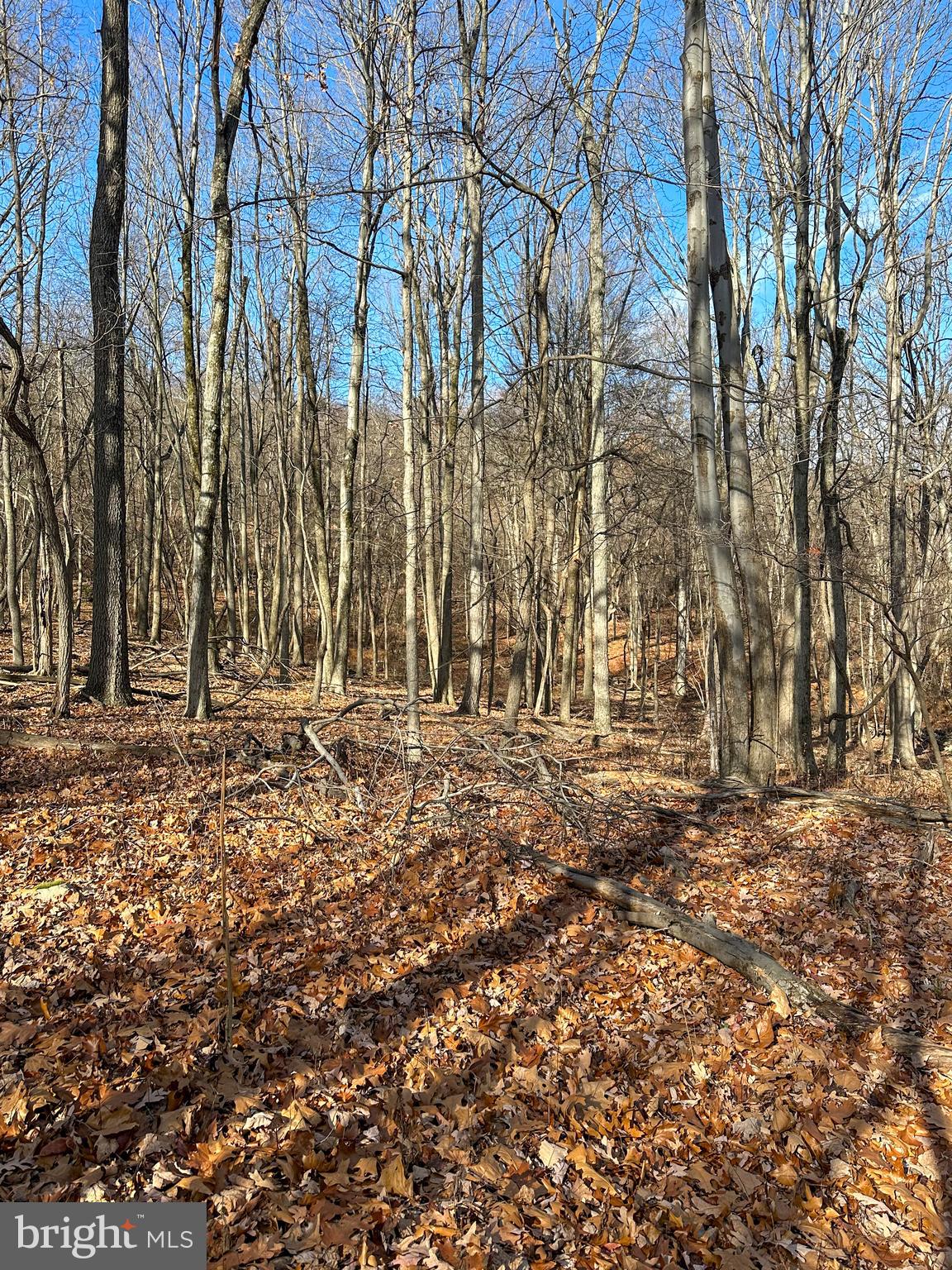 APPLE FIELDS OF HEAVEN - Land