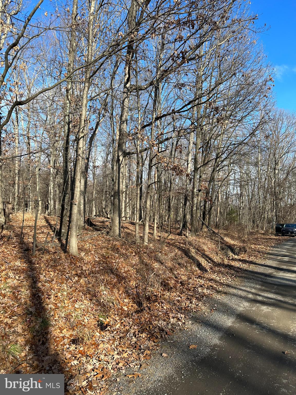APPLE FIELDS OF HEAVEN - Land
