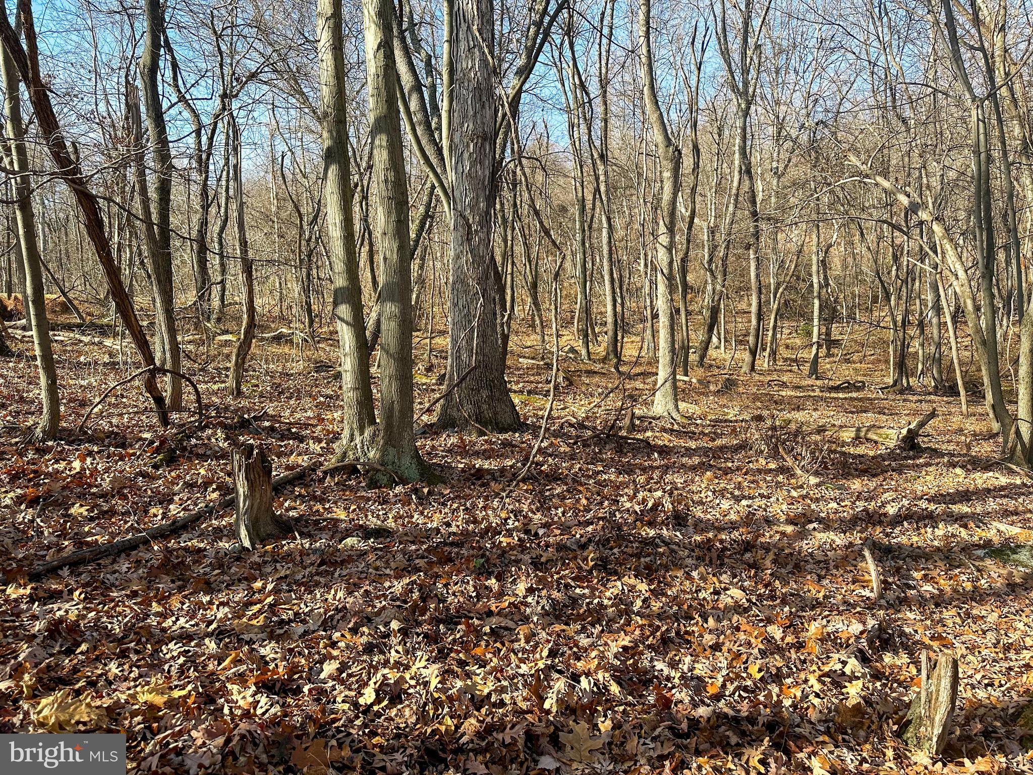 APPLE FIELDS OF HEAVEN - Land