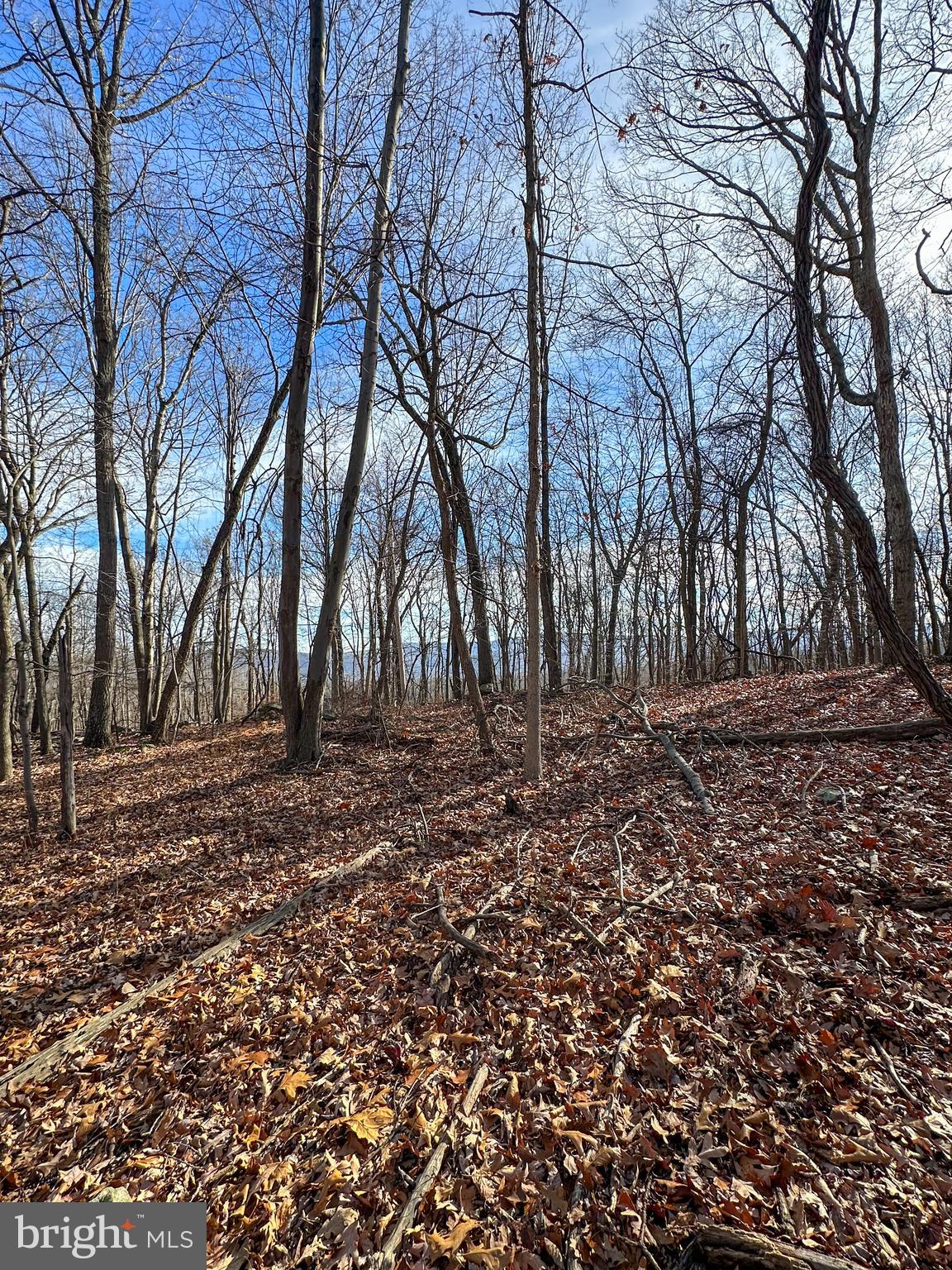 APPLE FIELDS OF HEAVEN - Land