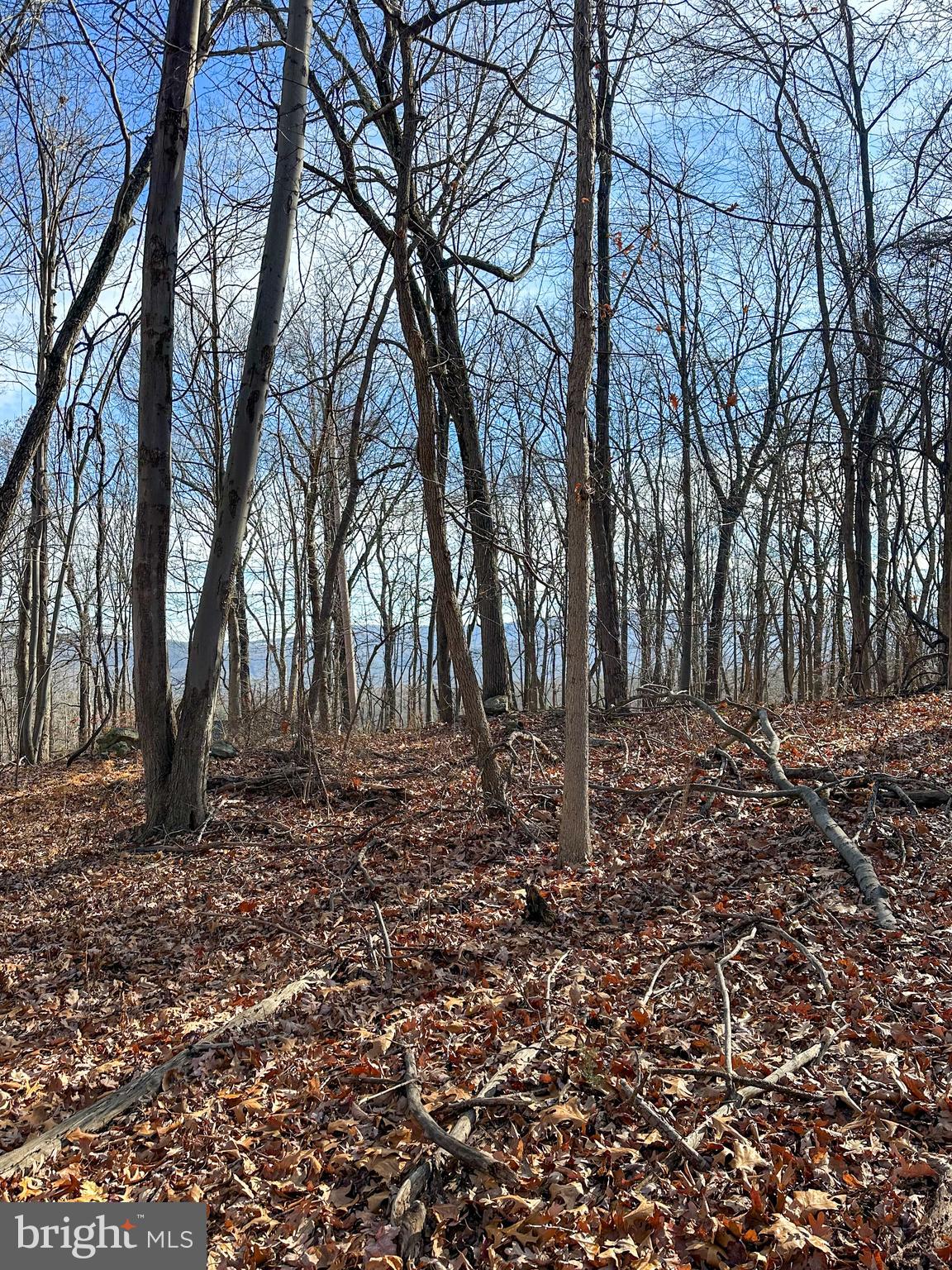 APPLE FIELDS OF HEAVEN - Land