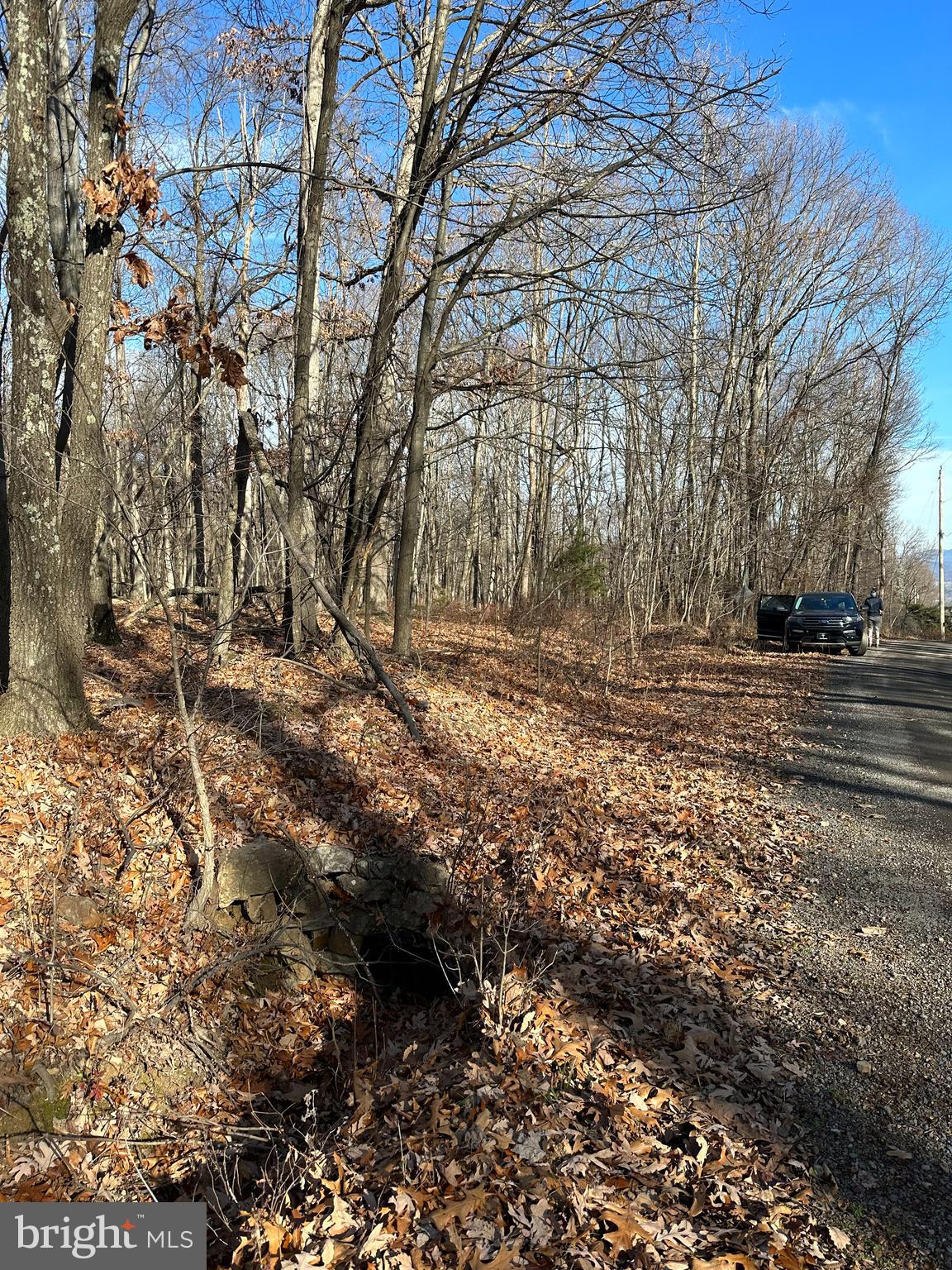 APPLE FIELDS OF HEAVEN - Land