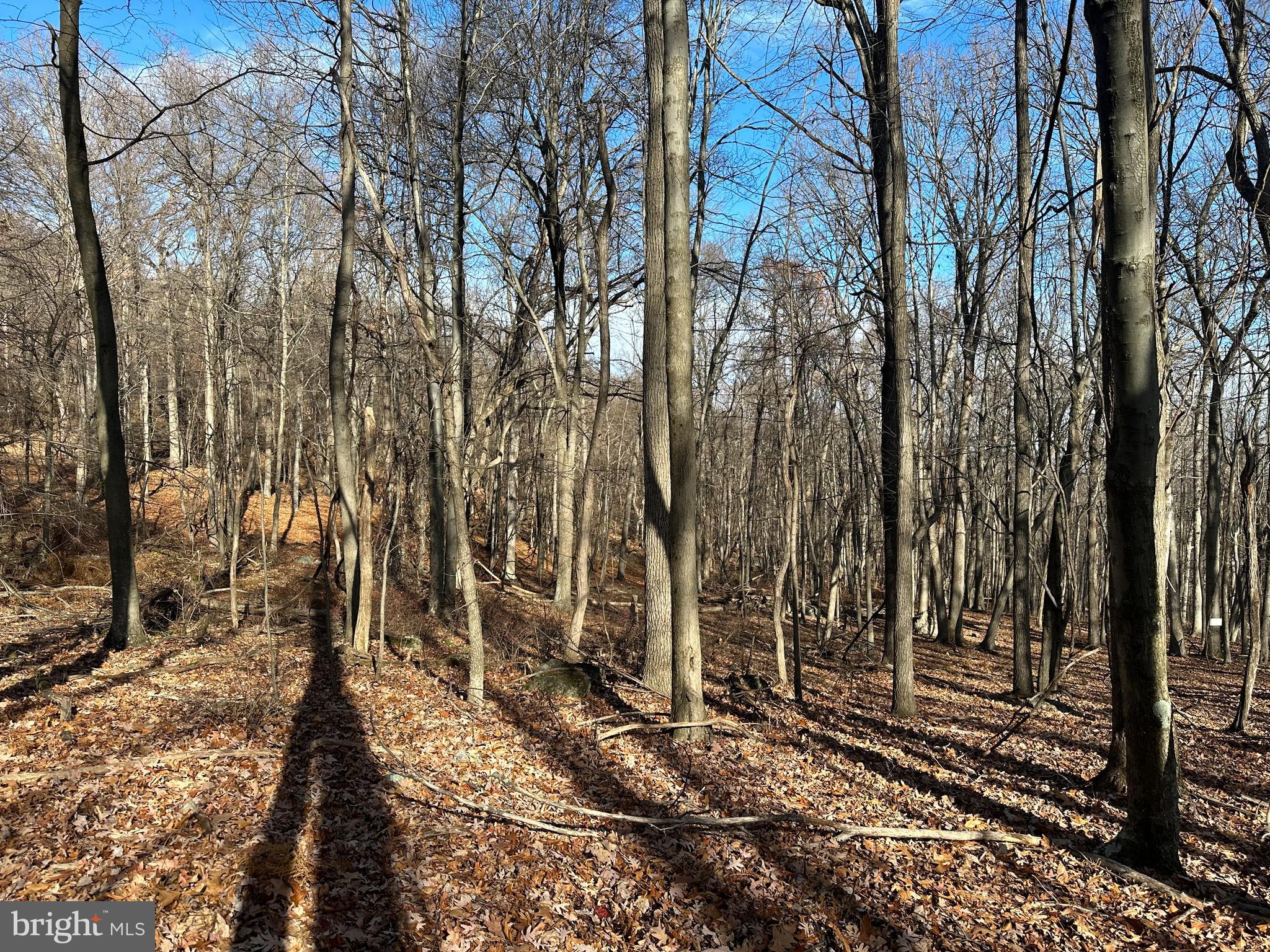 APPLE FIELDS OF HEAVEN - Land