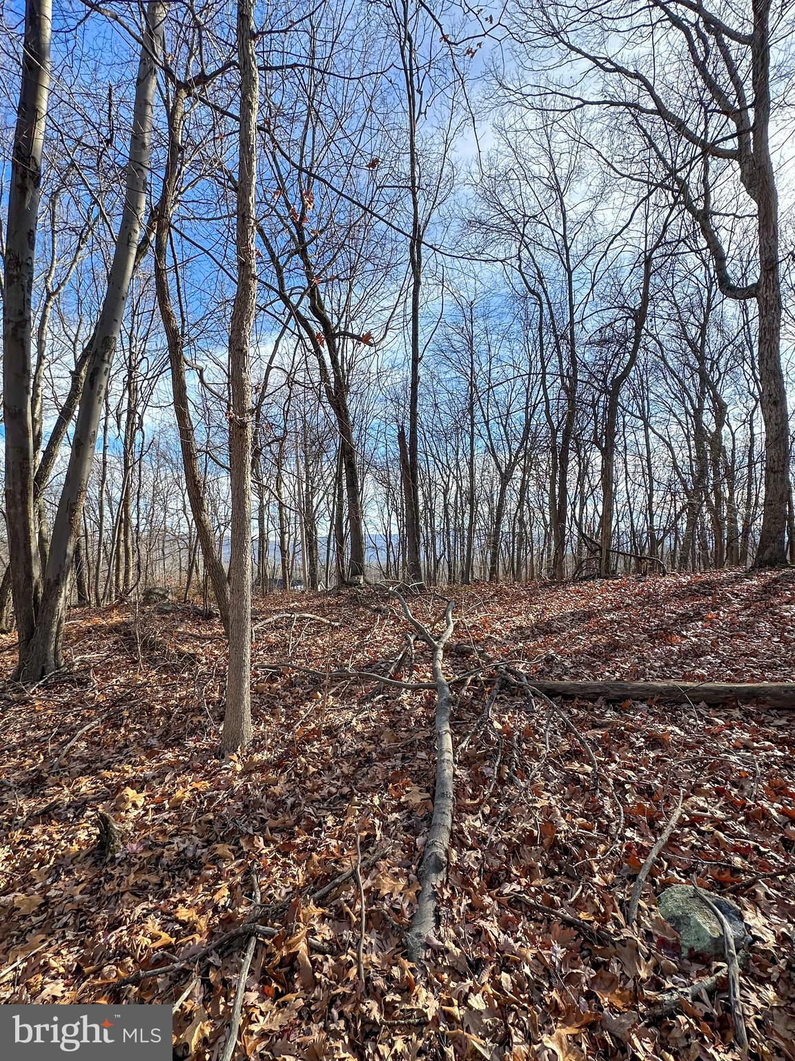 APPLE FIELDS OF HEAVEN - Land