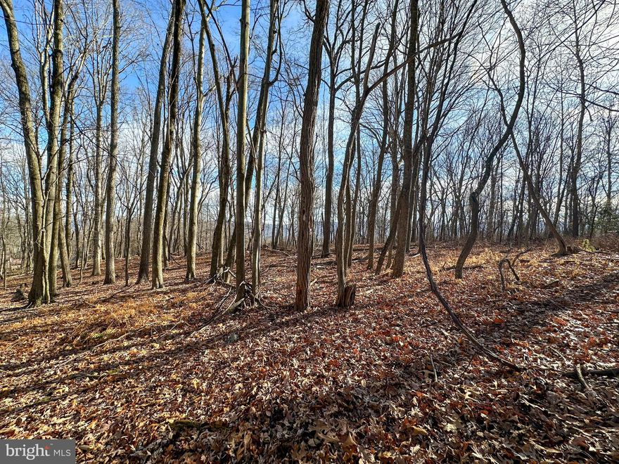 WELCOME TO LOT 90 APPLEFIELDS OF HEAVEN, THE PERFECT MIX OF SECLUSION AND ACCESSIBILITY. OVER 4.6 ACRES OF USABLE LAND WITH UNTAPPED POTENTIAL  READY TO BE EXPLORED! LOCATED WITHIN CLOSE PROXIMITY TO HISTORICAL ROMNEY, WV AND A SHORT COMMUTE TO METRO AND DC AREAS!