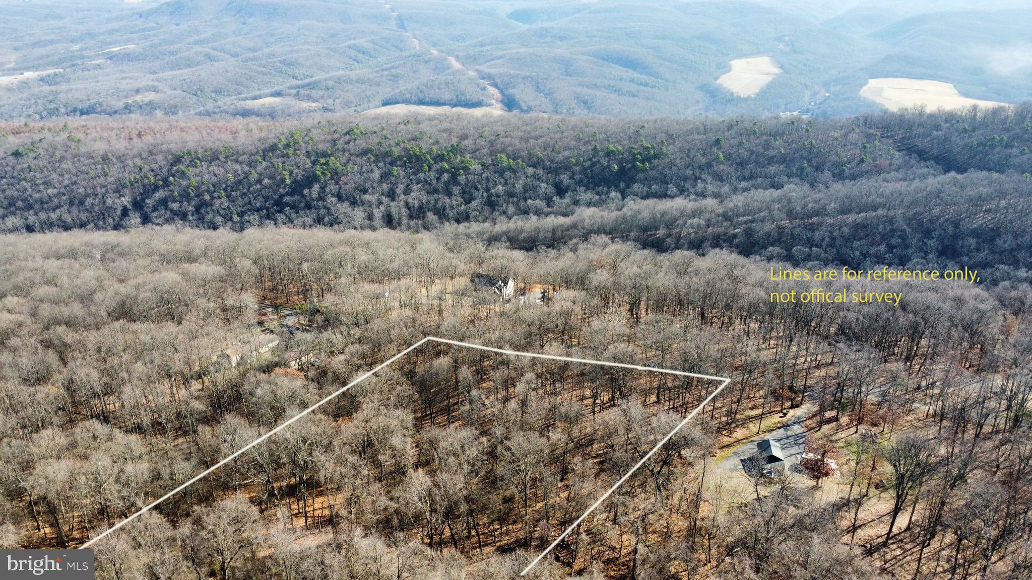 APPLE FIELDS OF HEAVEN - Land