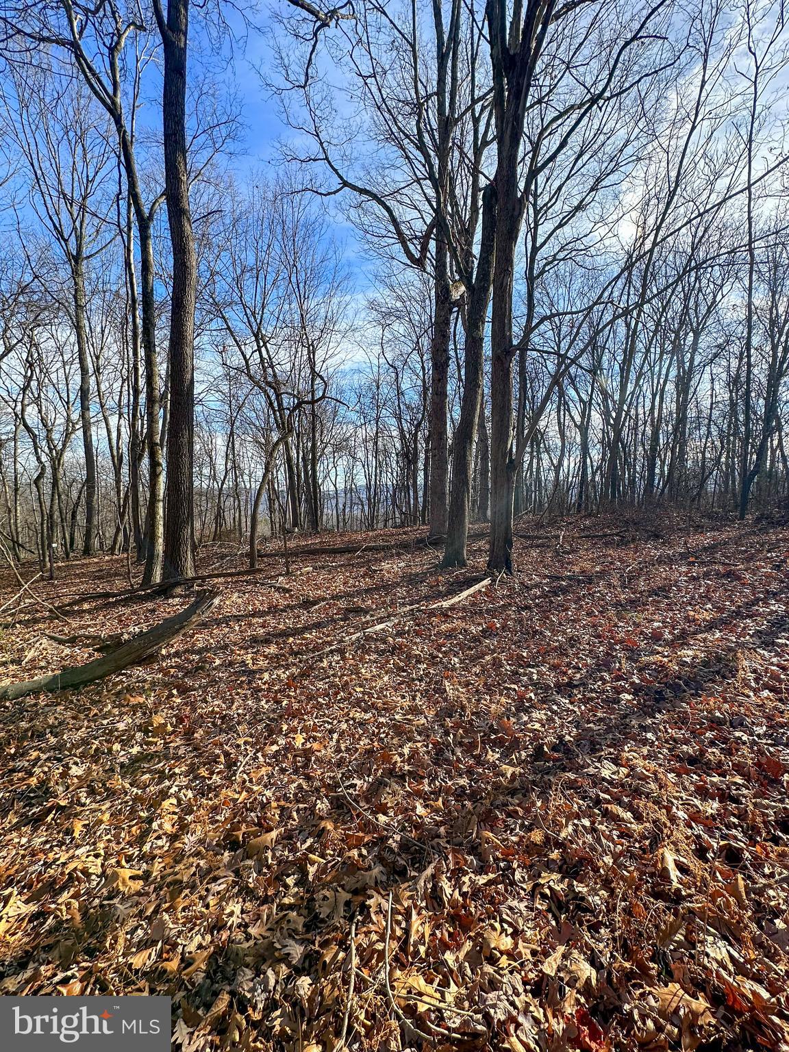 APPLE FIELDS OF HEAVEN - Land