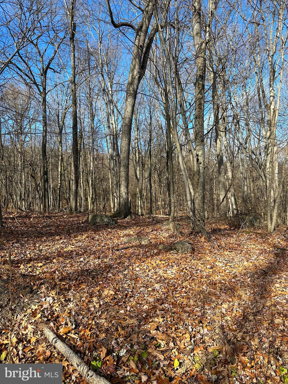 APPLE FIELDS OF HEAVEN - Land