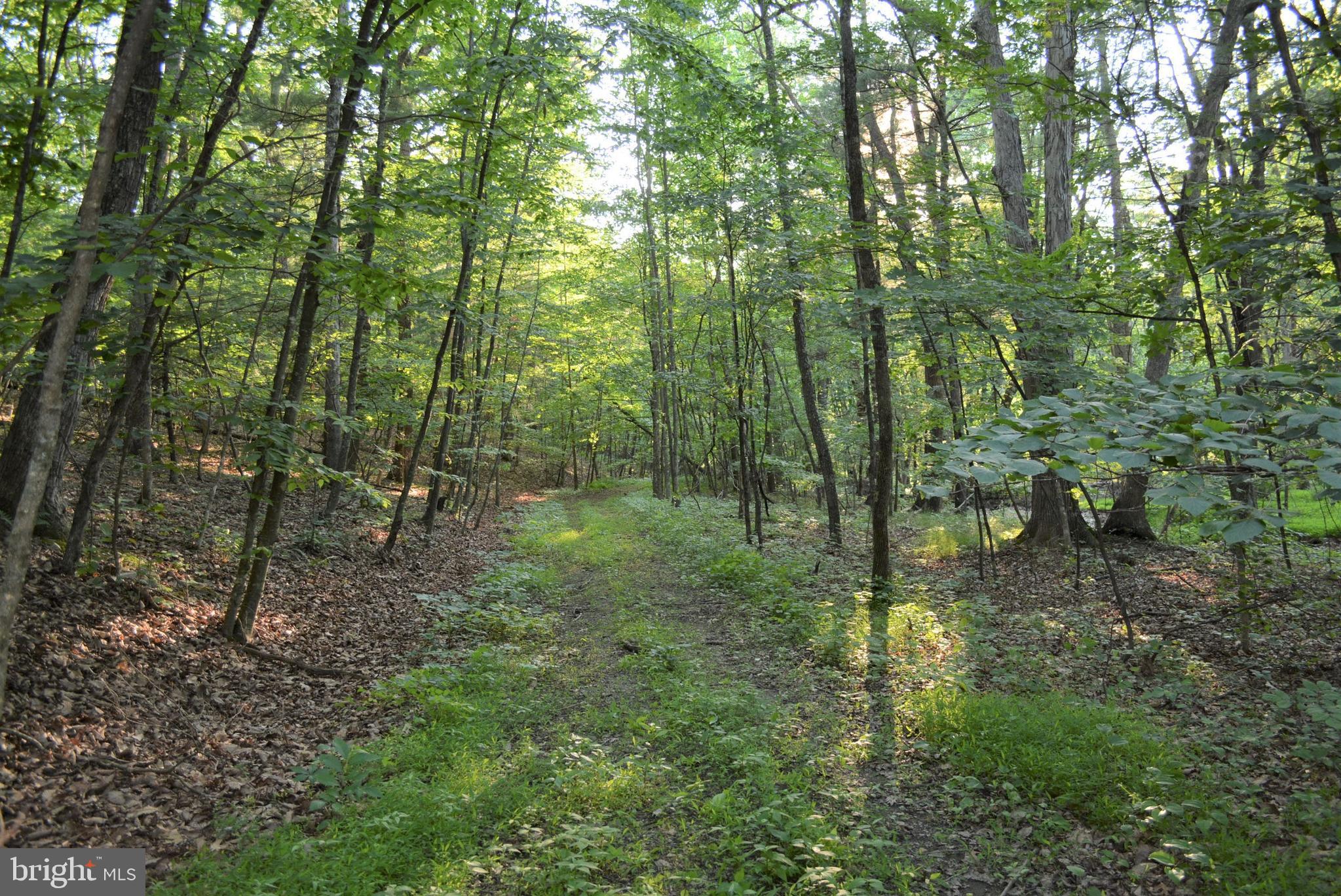 TIMBER RIDGE - Land