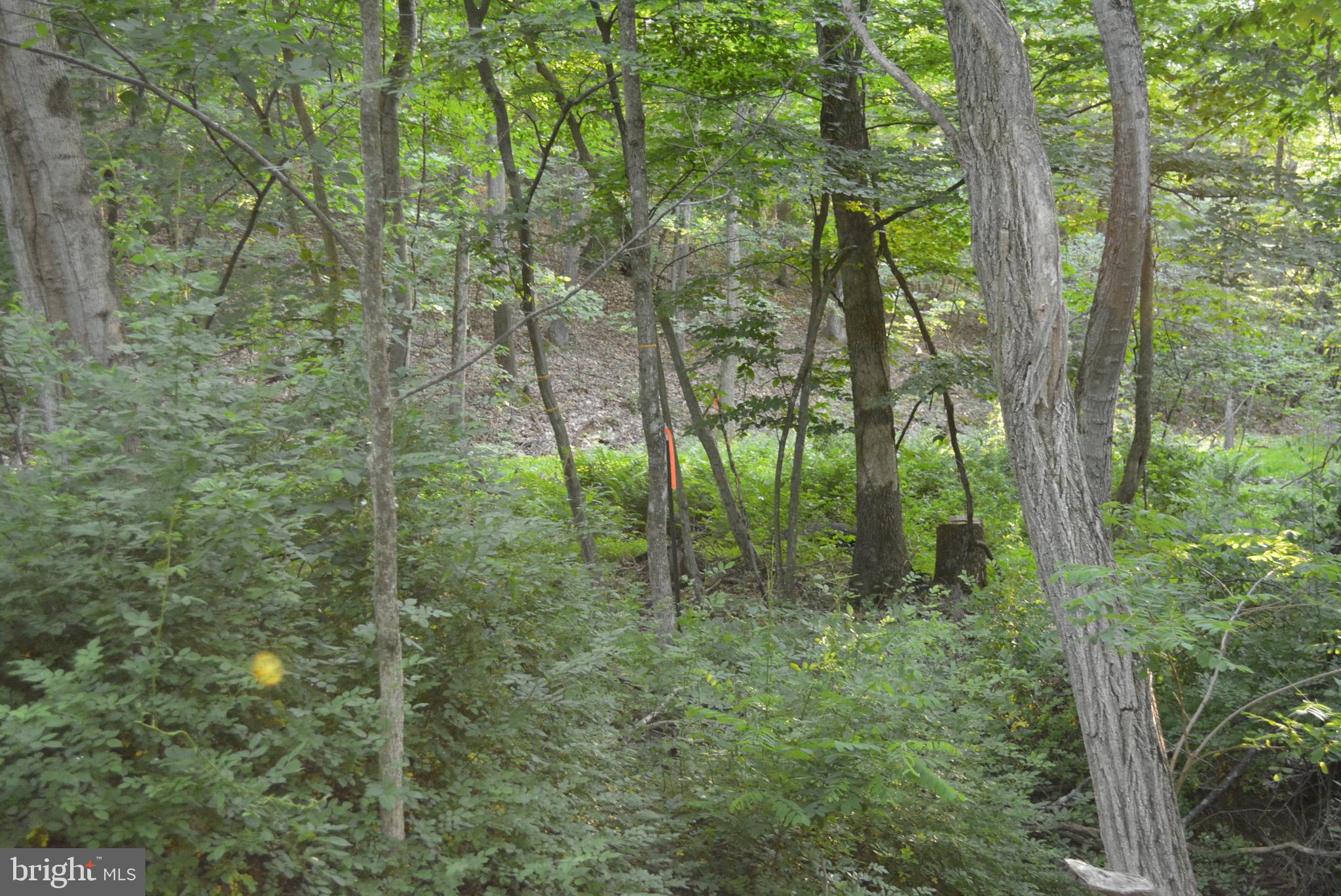 TIMBER RIDGE - Land