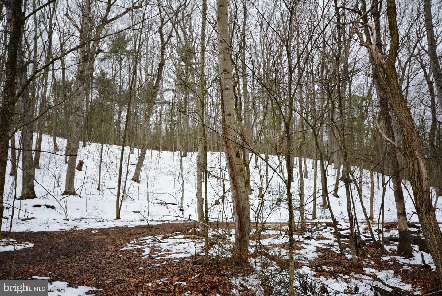 TIMBER RIDGE - Land