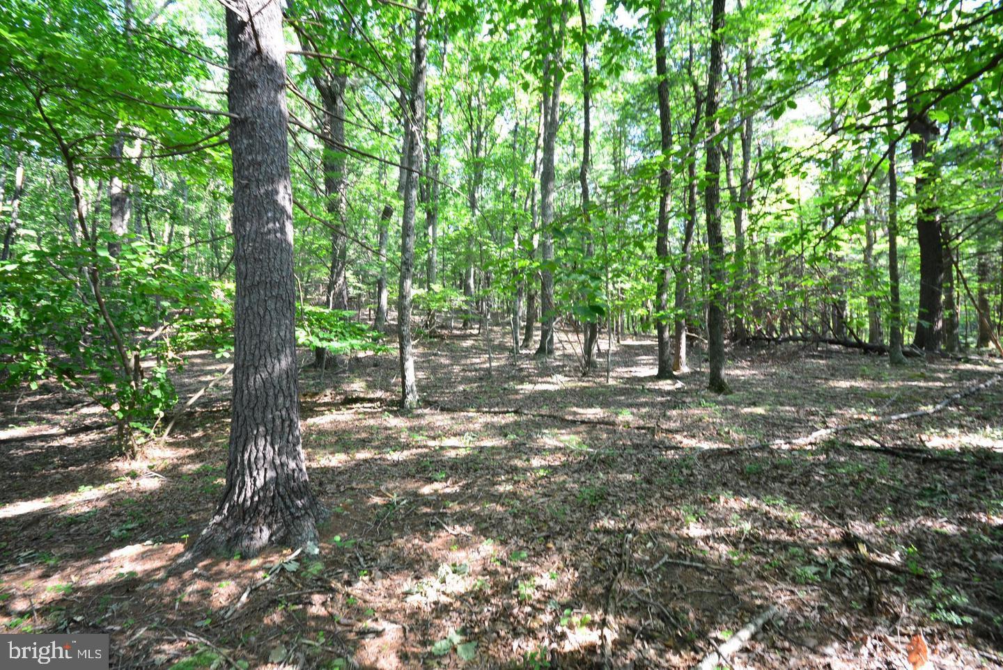 TIMBER RIDGE - Land