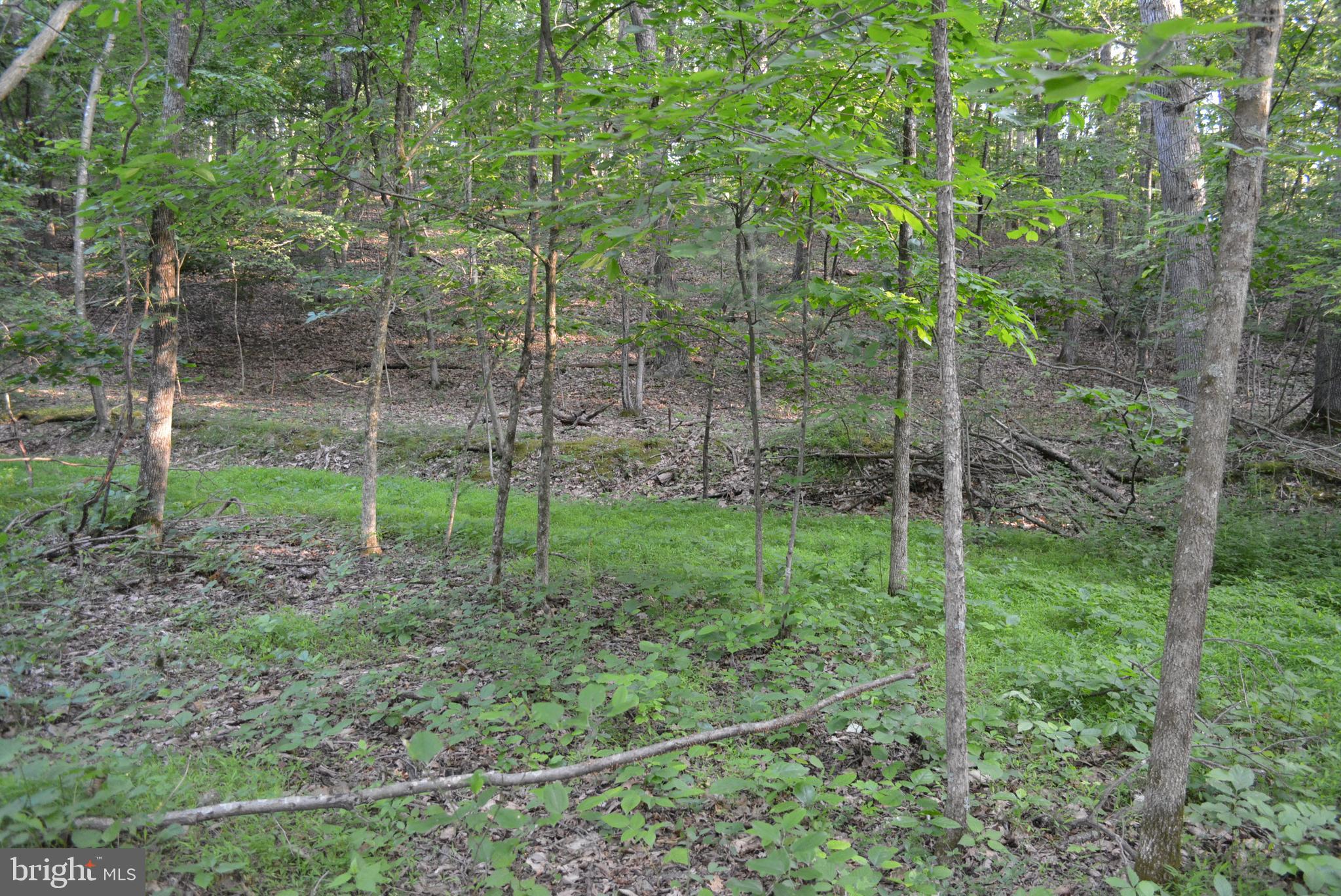 TIMBER RIDGE - Land