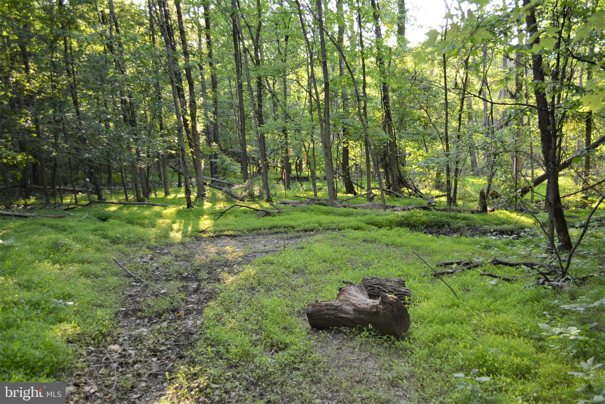TIMBER RIDGE - Land