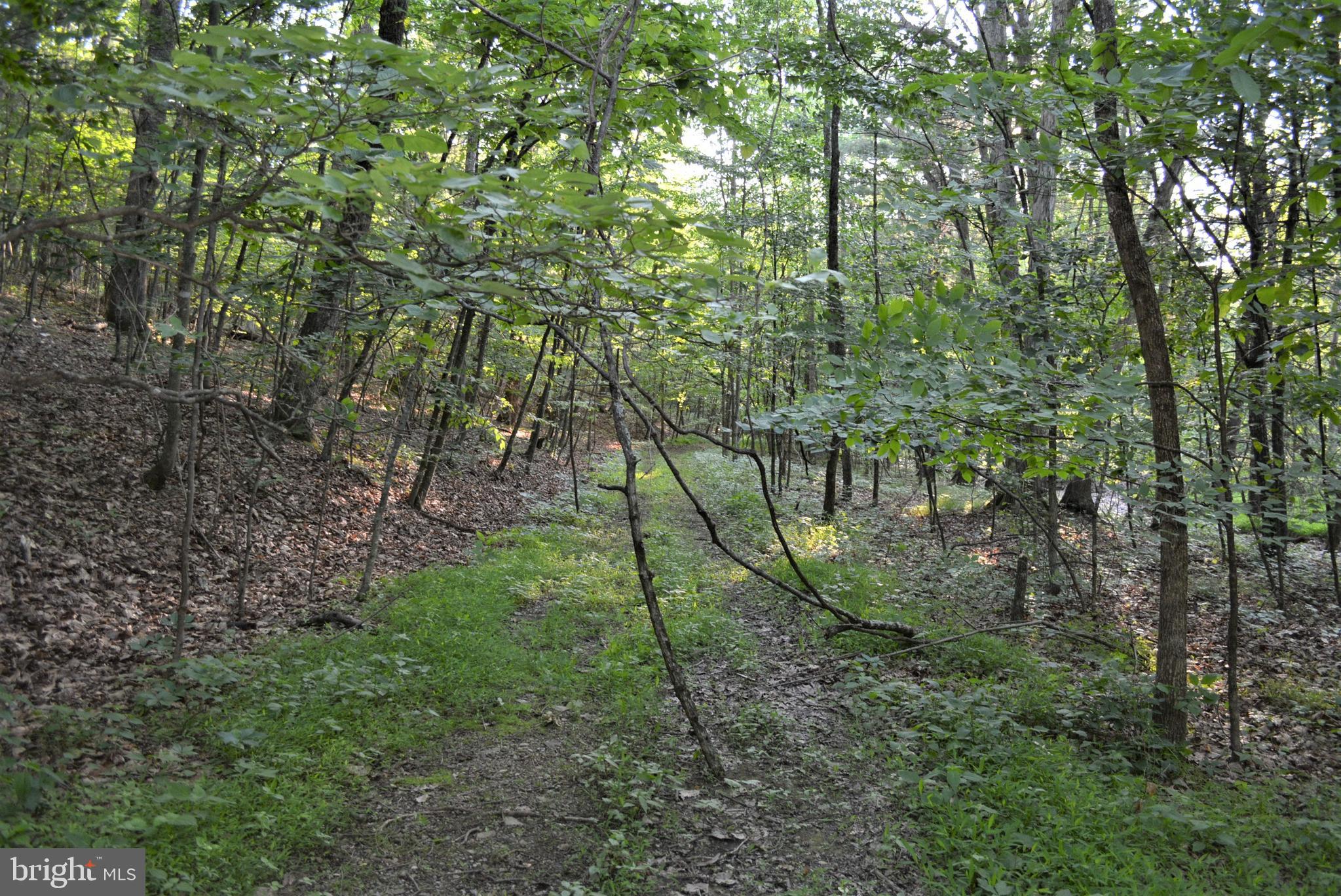 TIMBER RIDGE - Land