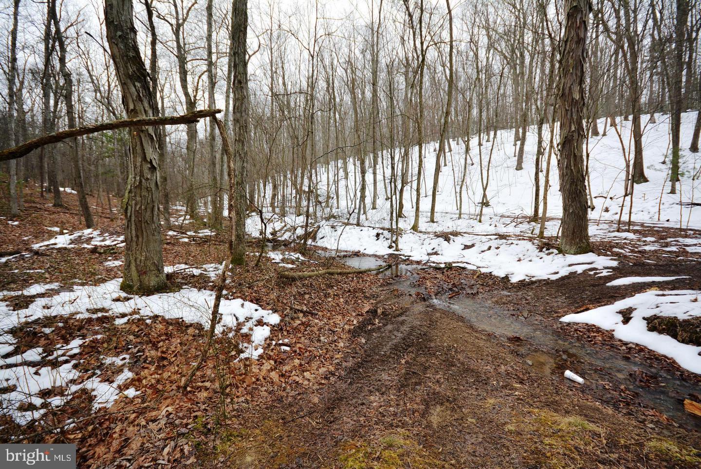 TIMBER RIDGE - Land