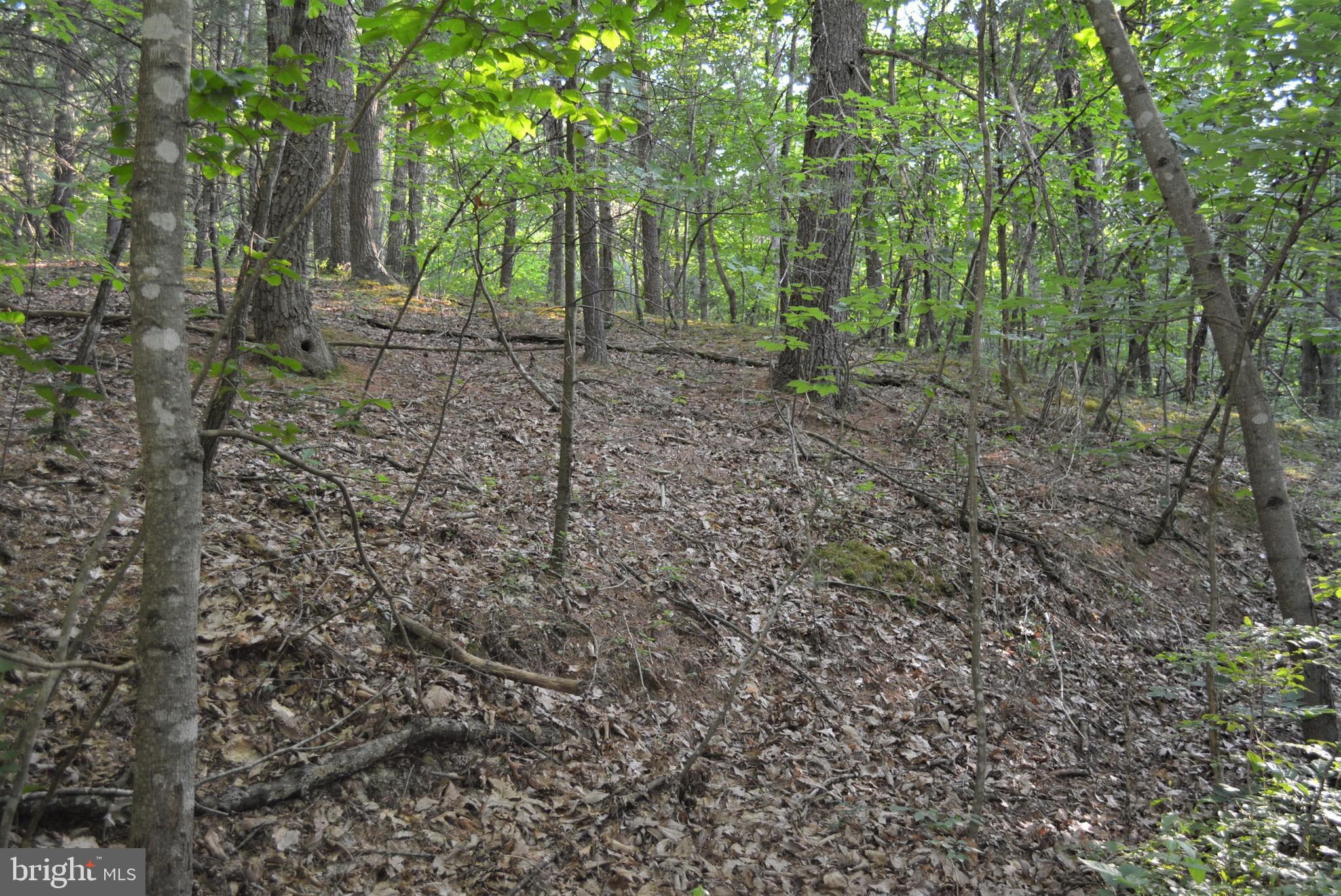 TIMBER RIDGE - Land