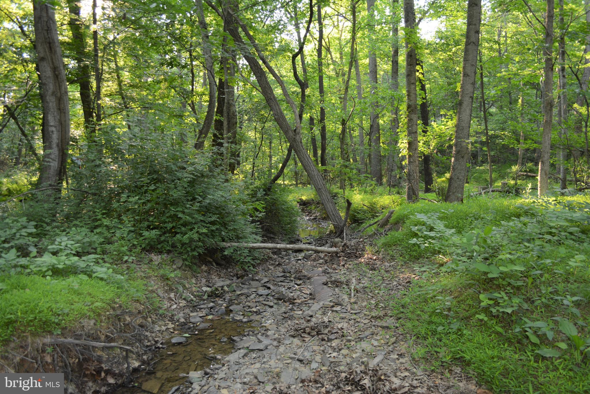 TIMBER RIDGE - Land
