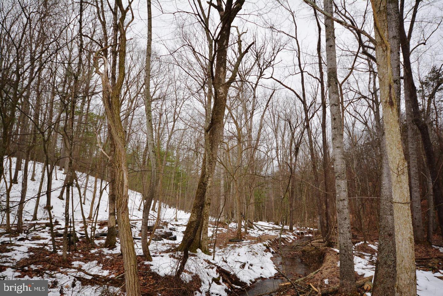 TIMBER RIDGE - Land