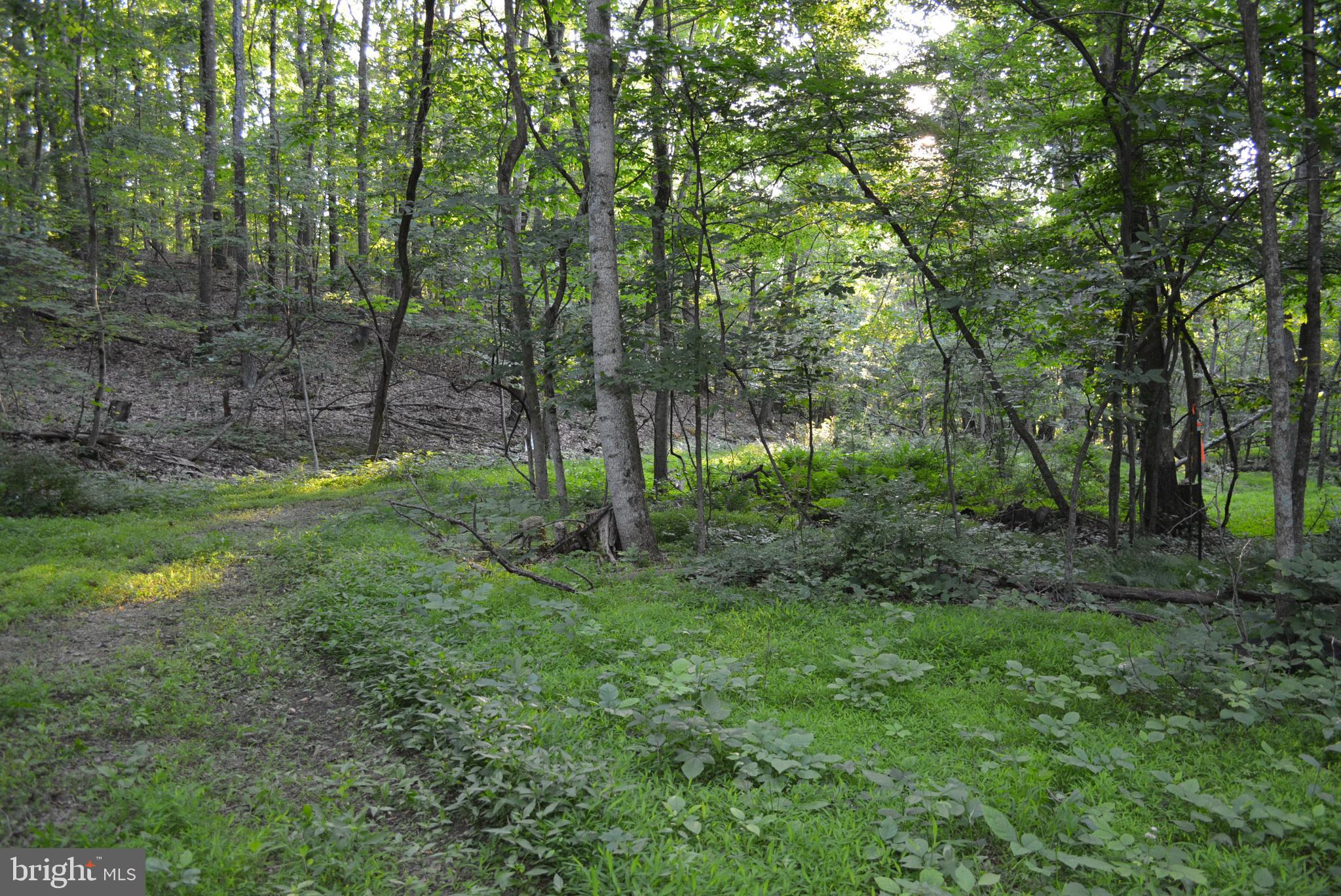 TIMBER RIDGE - Land