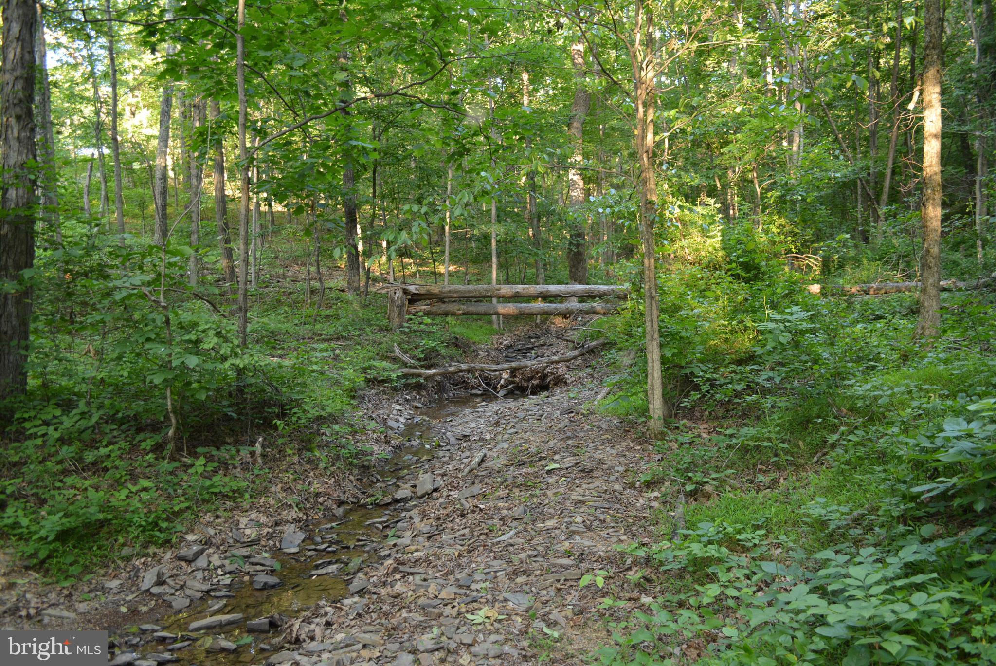 TIMBER RIDGE - Land
