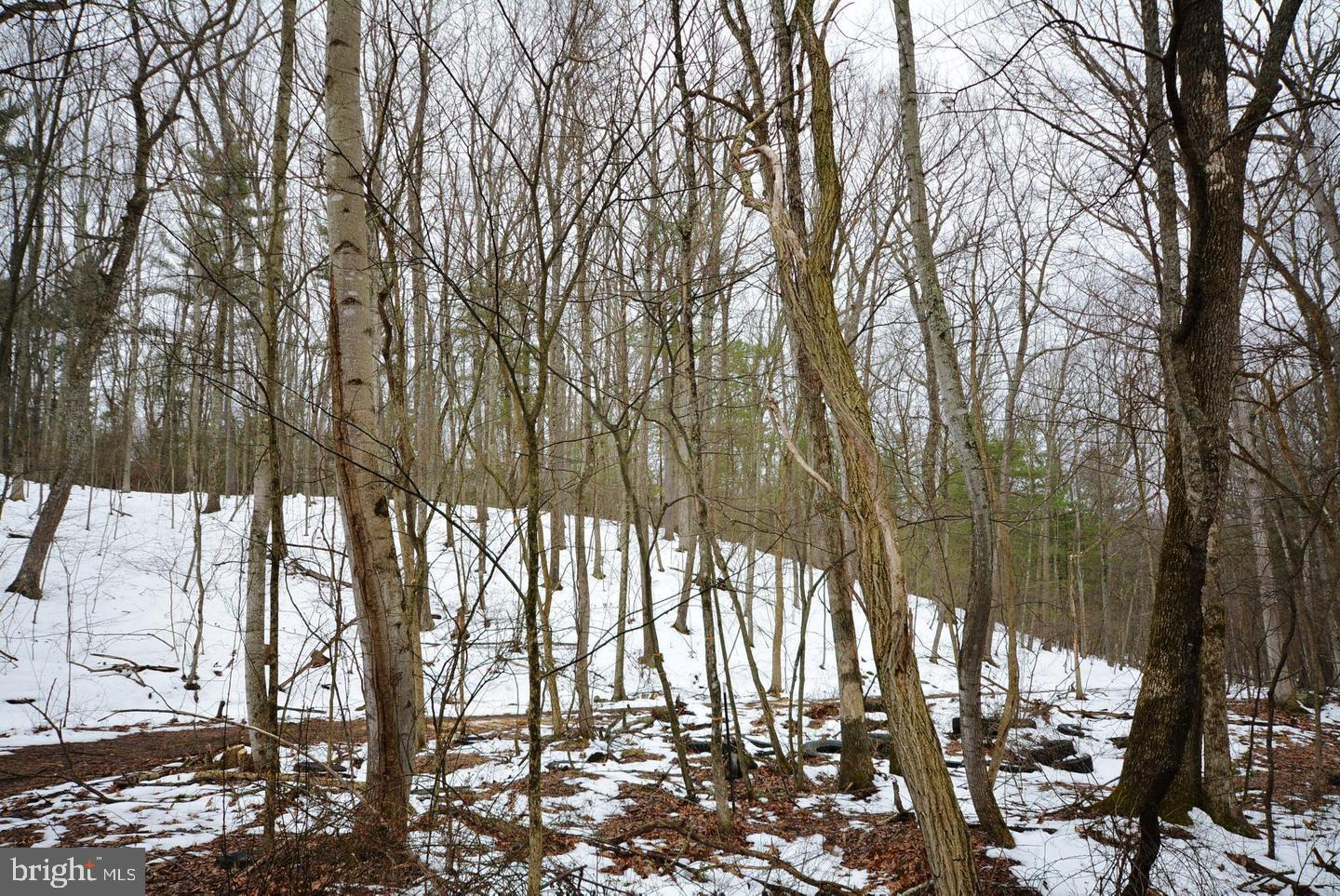TIMBER RIDGE - Land