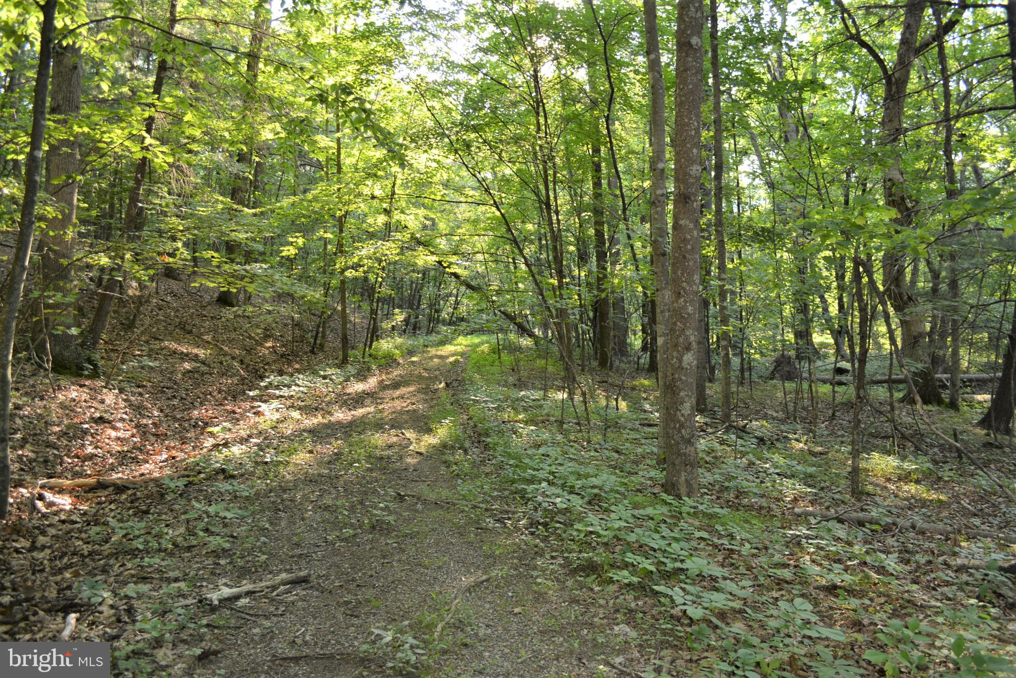 TIMBER RIDGE - Land