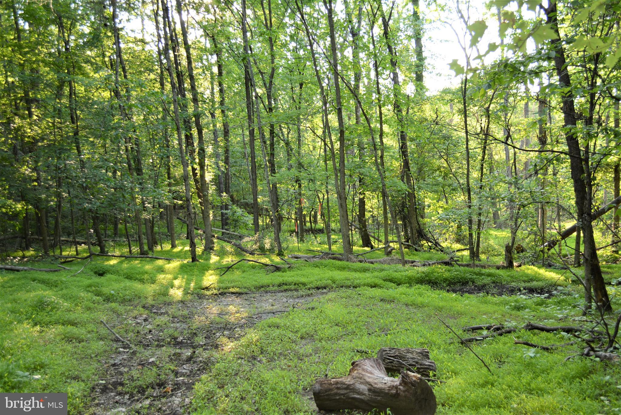 TIMBER RIDGE - Land