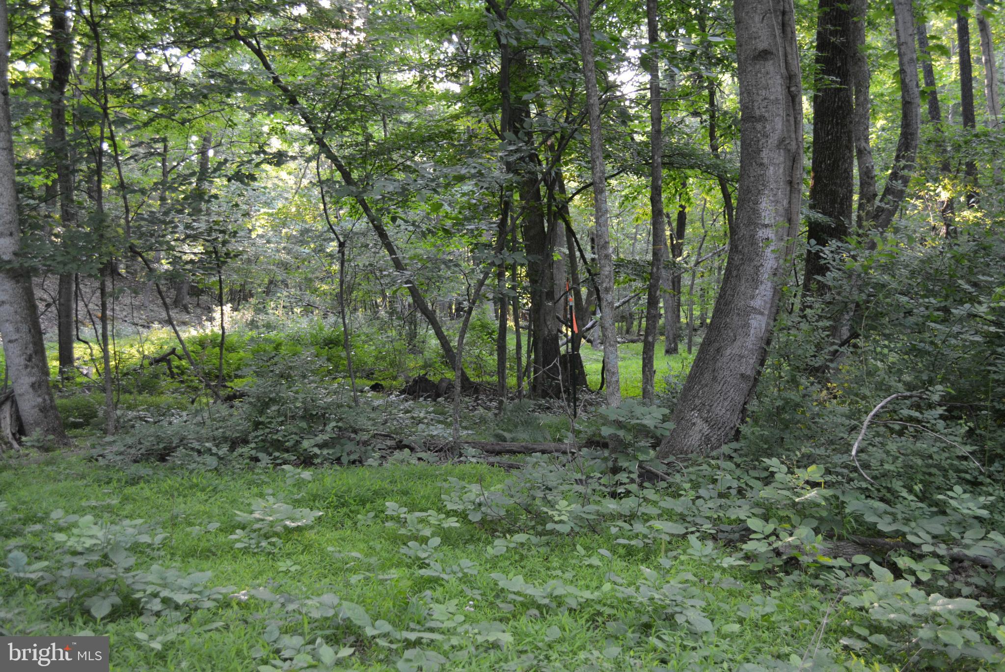 TIMBER RIDGE - Land