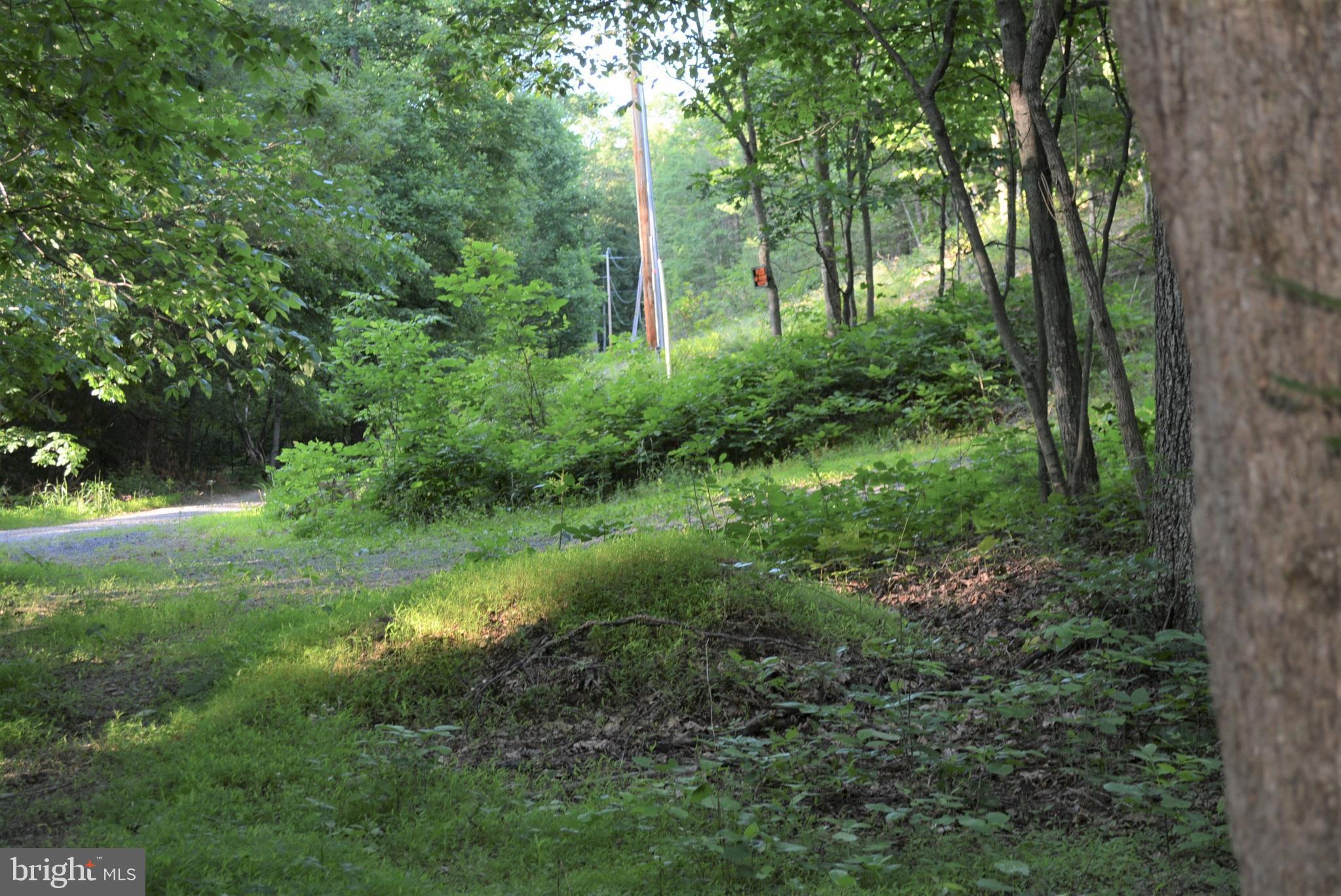 TIMBER RIDGE - Land