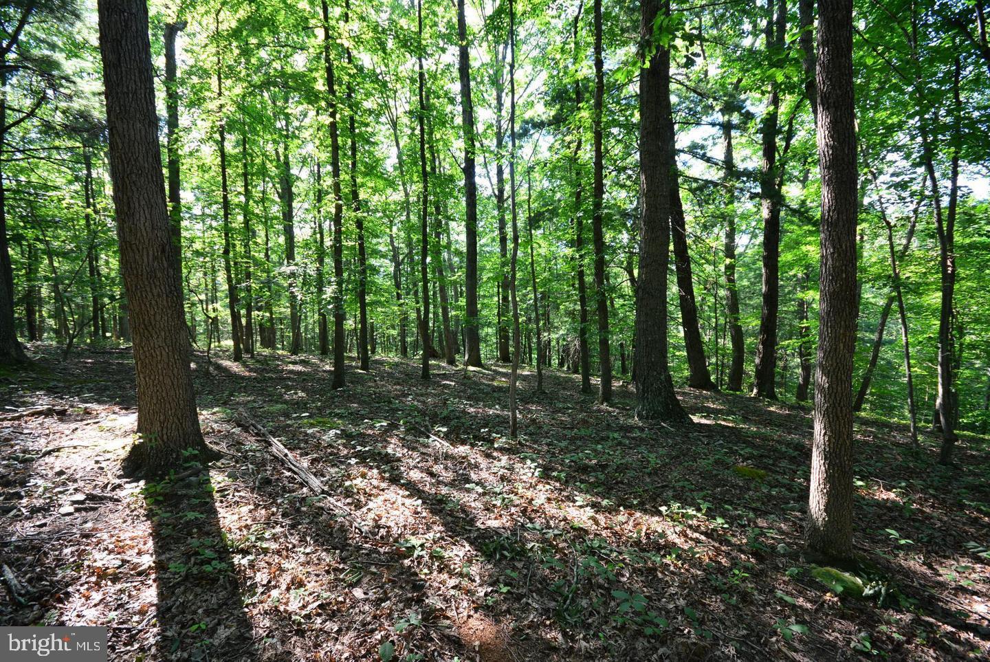TIMBER RIDGE - Land
