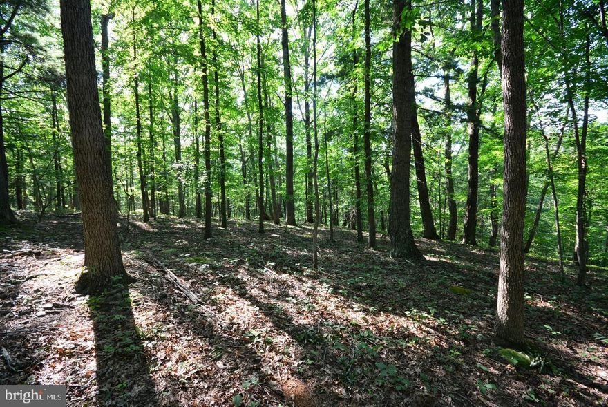 Privacy - 4 separate lots being sold all together totaling 30+ acres of woods all to your own.  The perfect place for your future home or just to get away for the weekend. Enjoy the wildlife all around.  Must see to appreciate.  NO HOA.  Tax Id's - 06 3 2 13 - 06 3 2 15 - 06 3 2 16 - 06 3 2 17.  Seller will look at all offers.