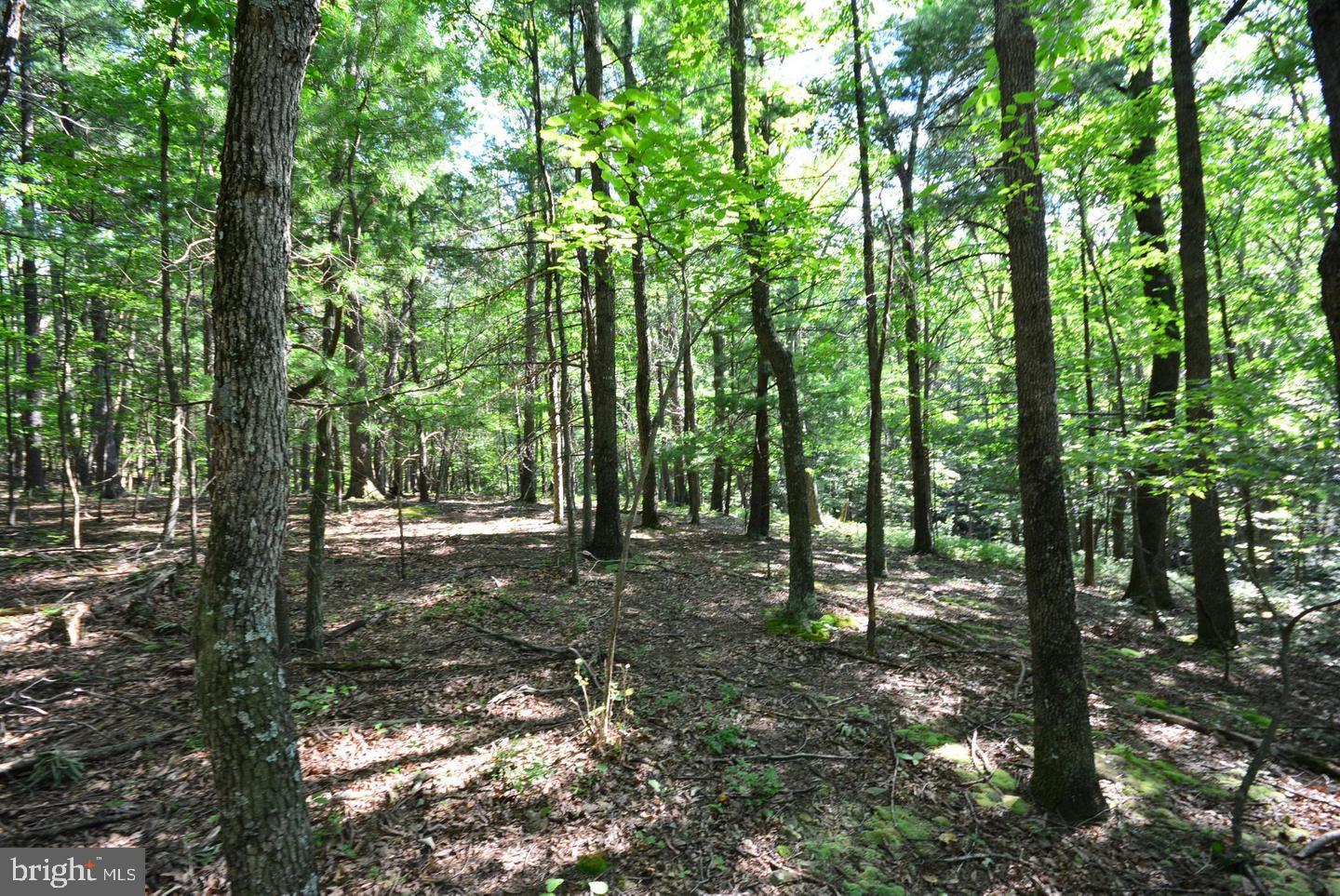 TIMBER RIDGE - Land