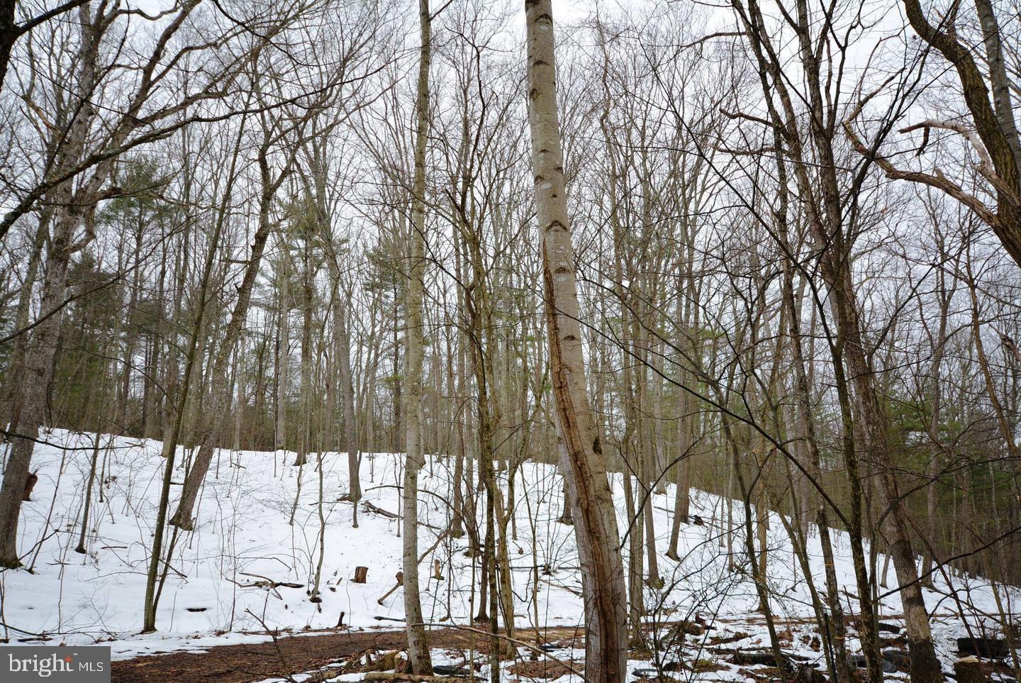 TIMBER RIDGE - Land