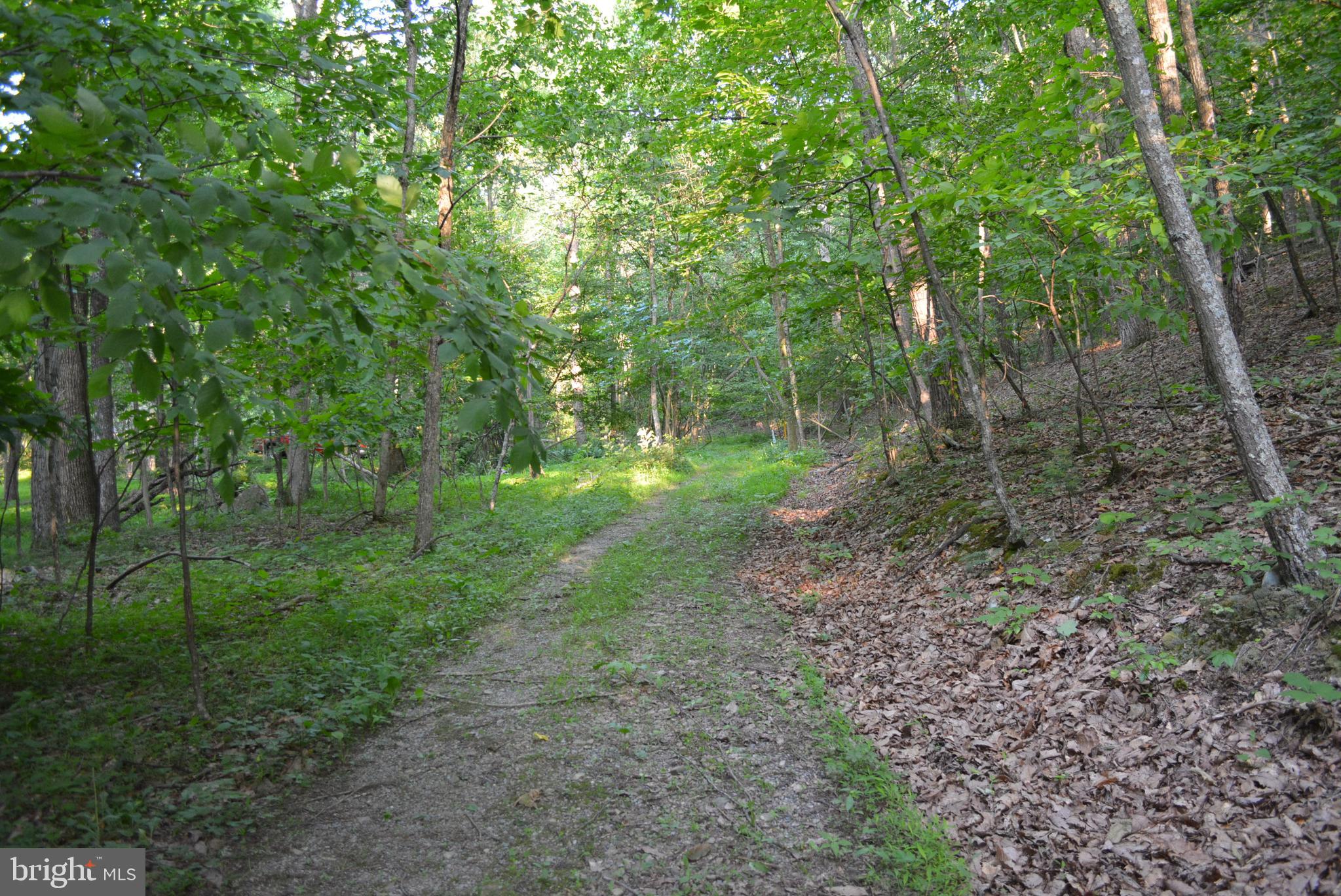 TIMBER RIDGE - Land