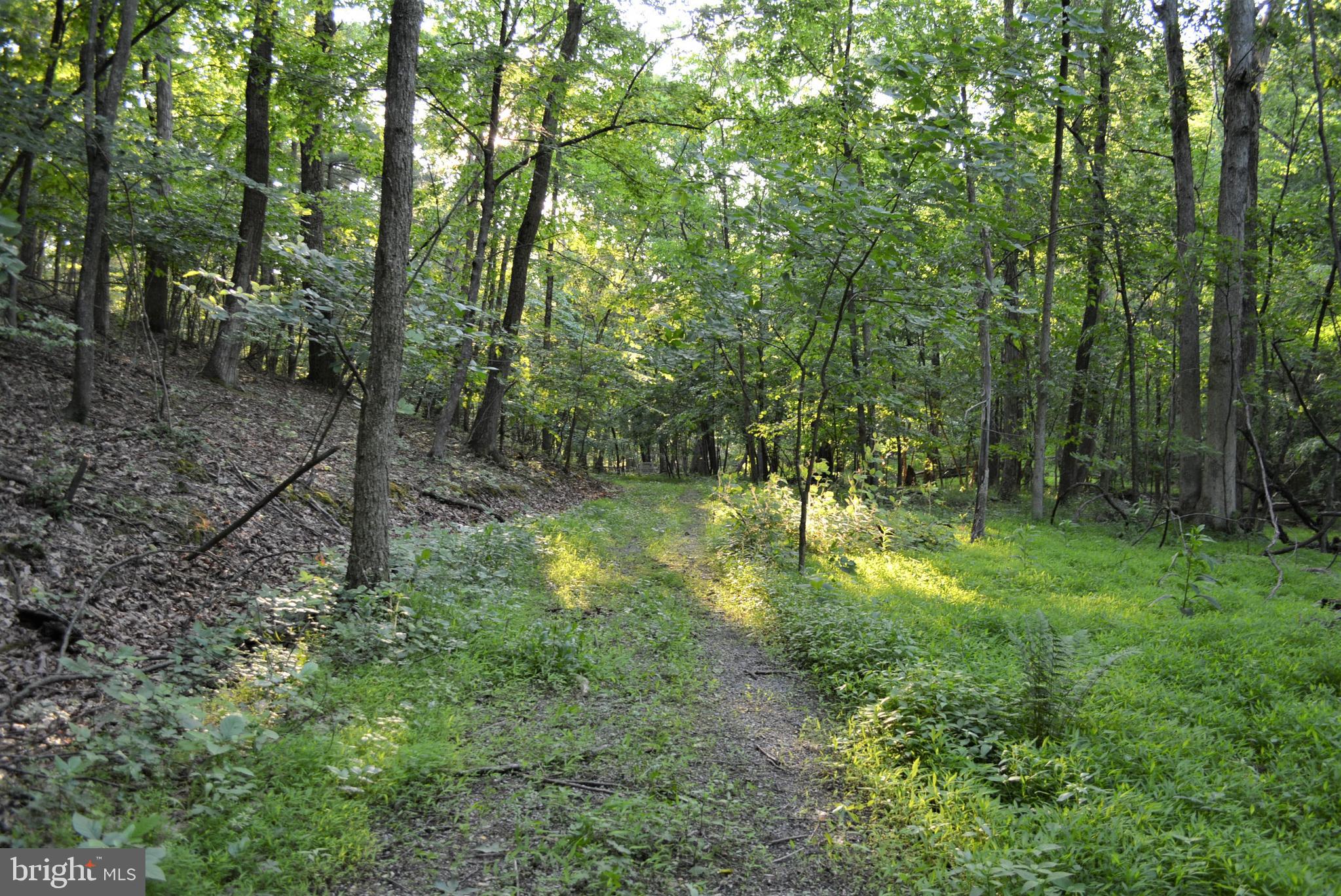 TIMBER RIDGE - Land