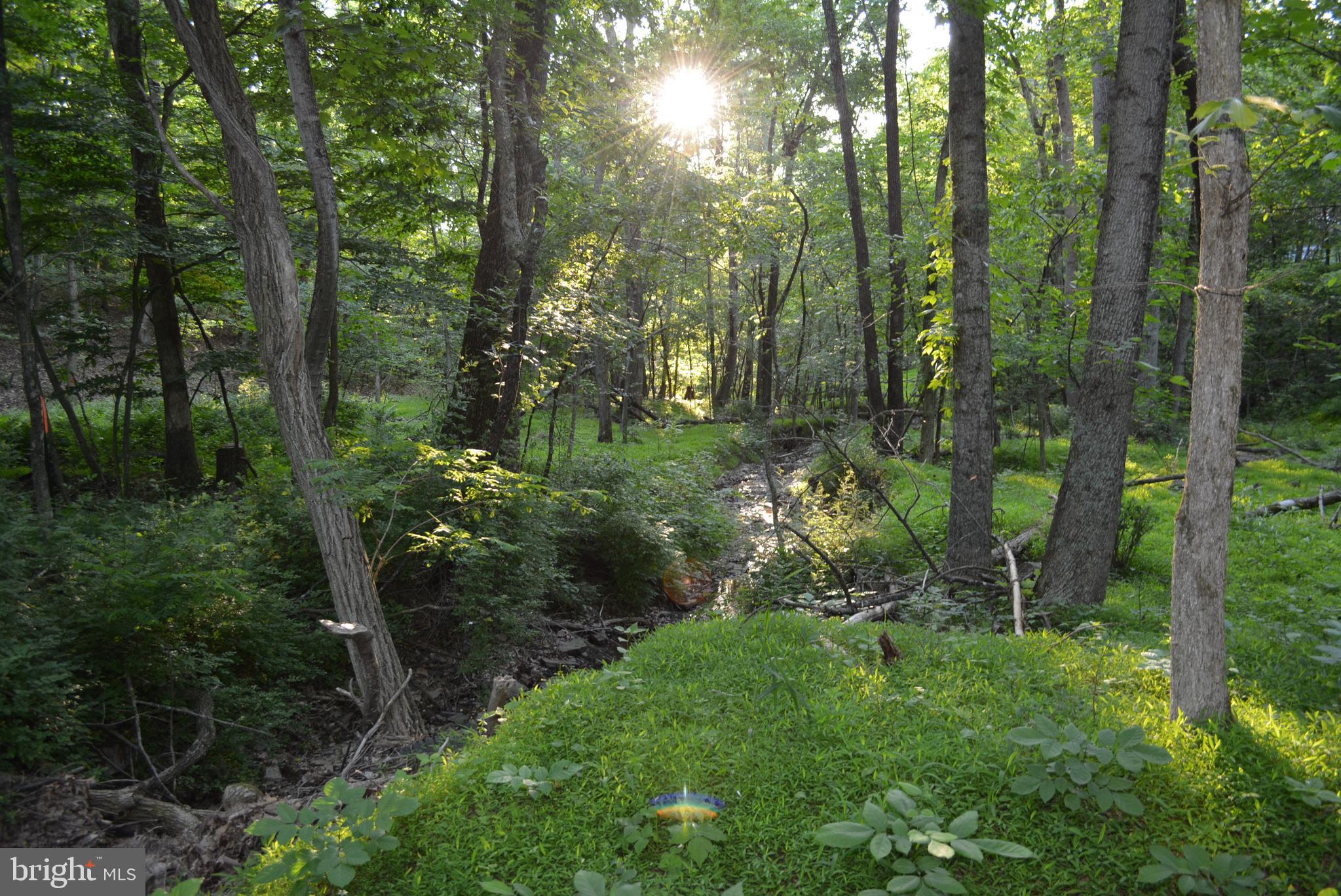 TIMBER RIDGE - Land