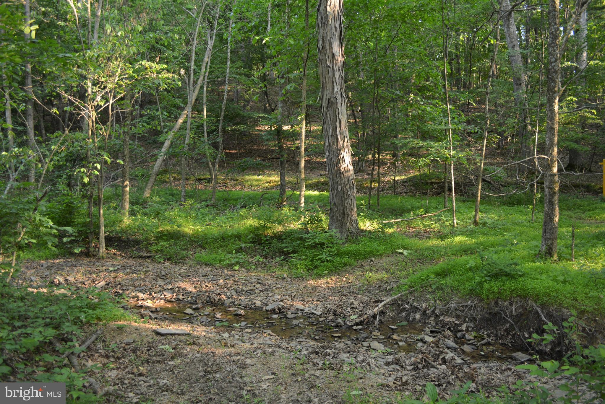 TIMBER RIDGE - Land