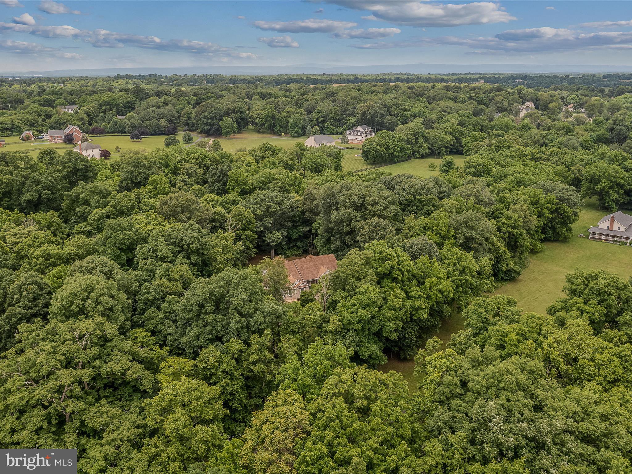 DANIEL BURHAN MINOR - Residential