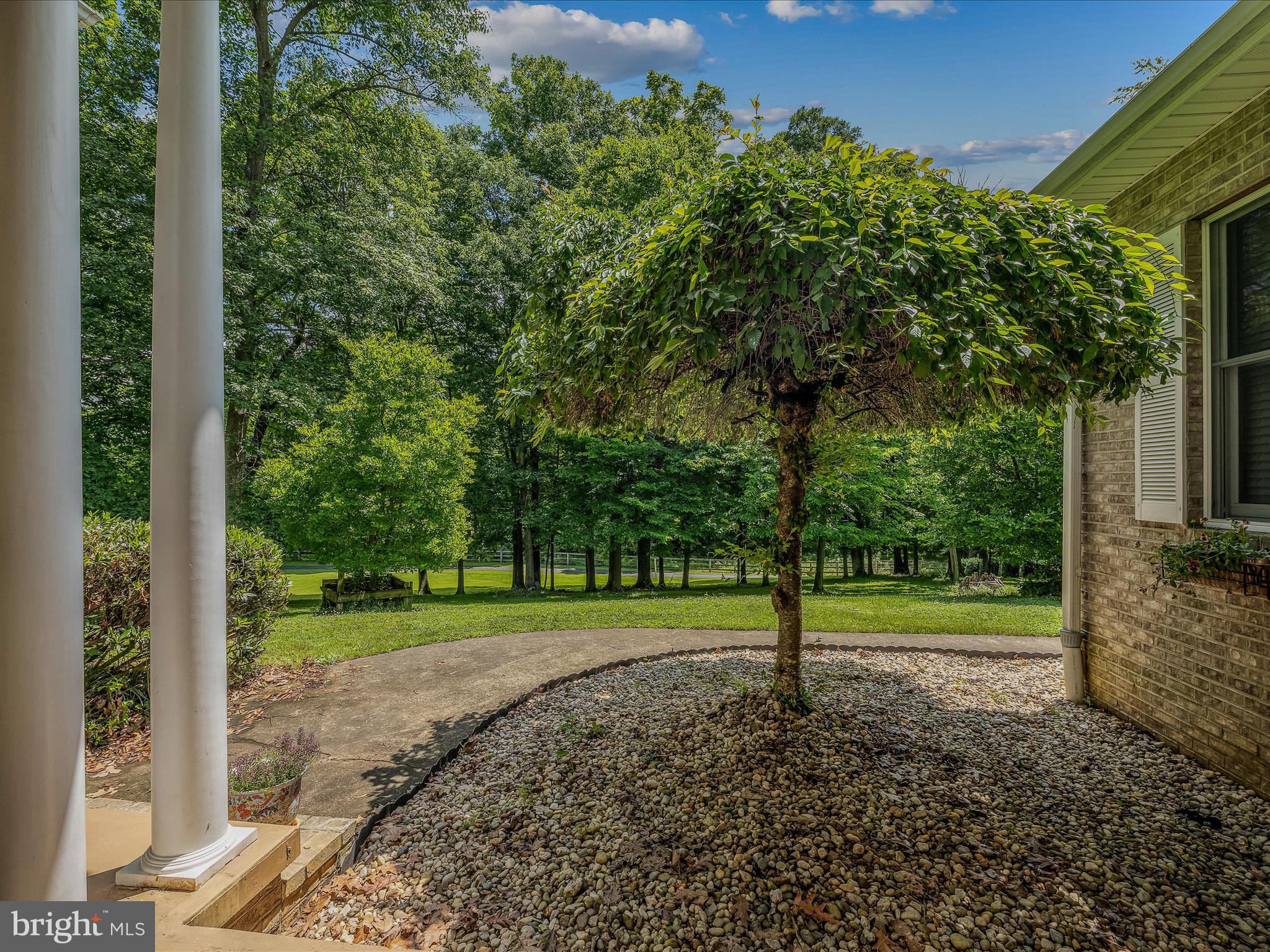 DANIEL BURHAN MINOR - Residential