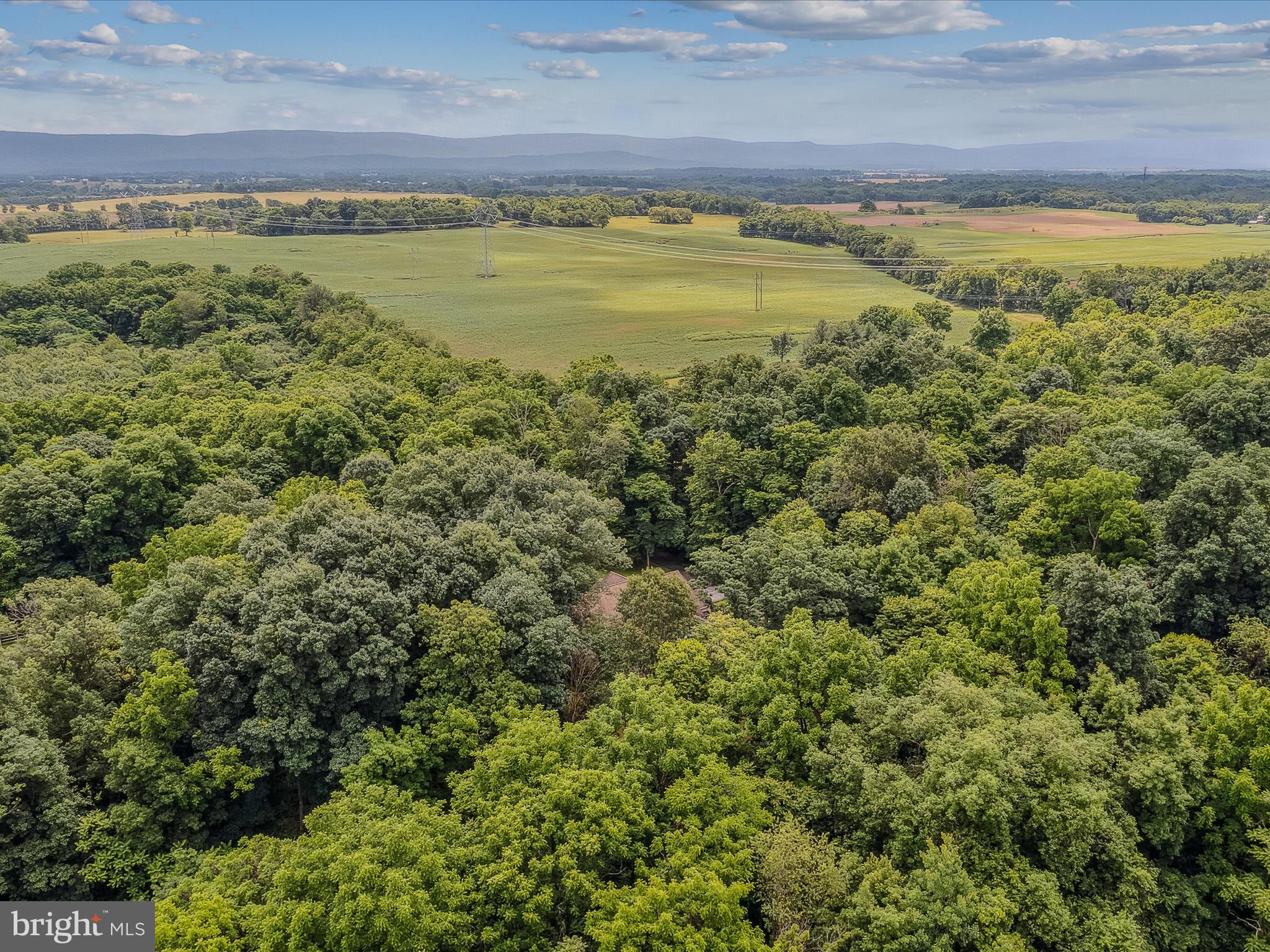 DANIEL BURHAN MINOR - Residential